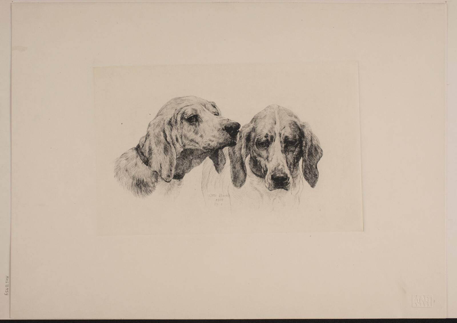 To hundehoveder, Otto Bache, 1901