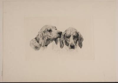 To hundehoveder