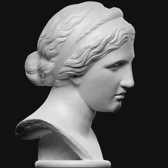 Head from The Niobe Group 3D model