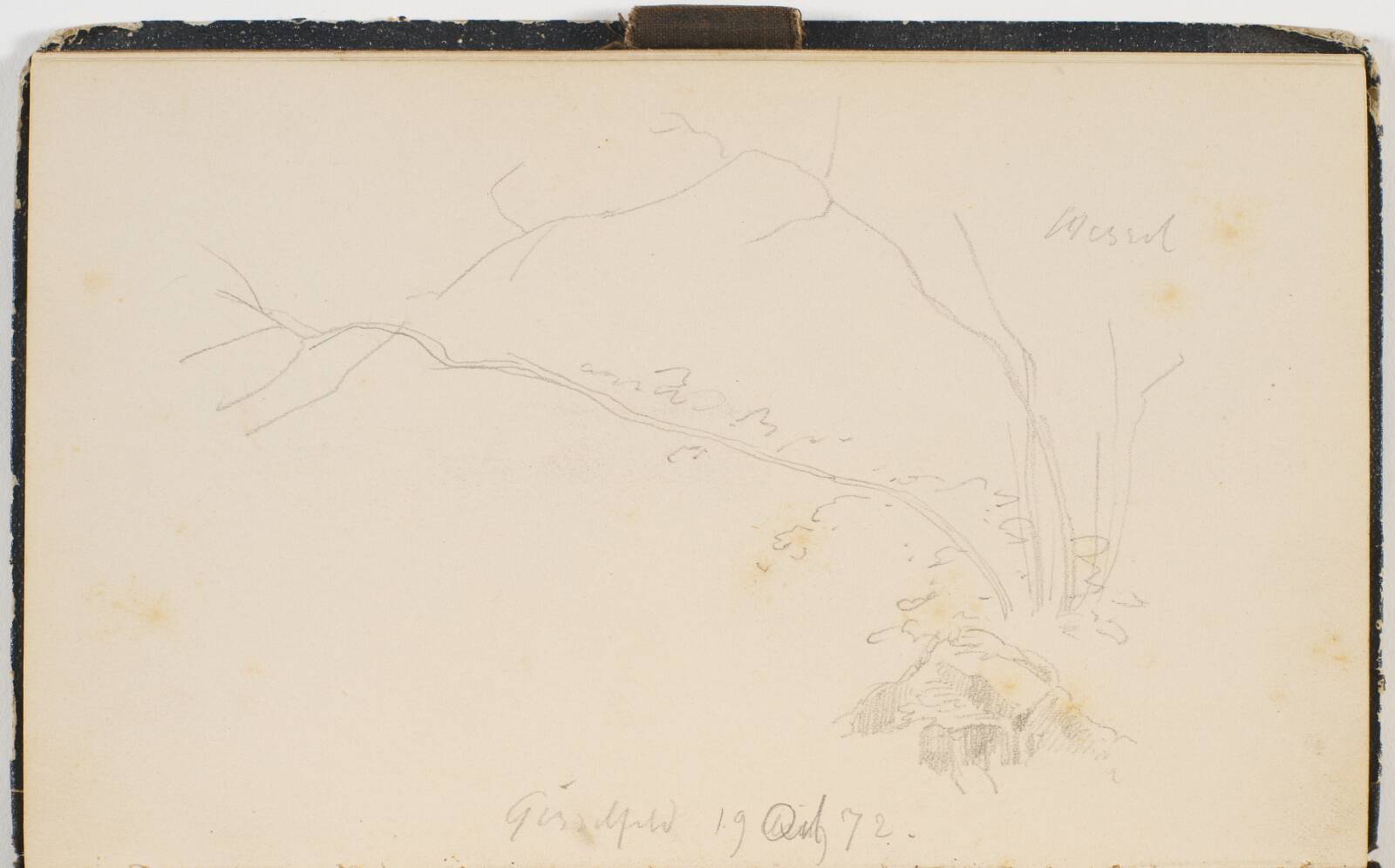 Spinkle grene og løv, P.C. Skovgaard, 1872