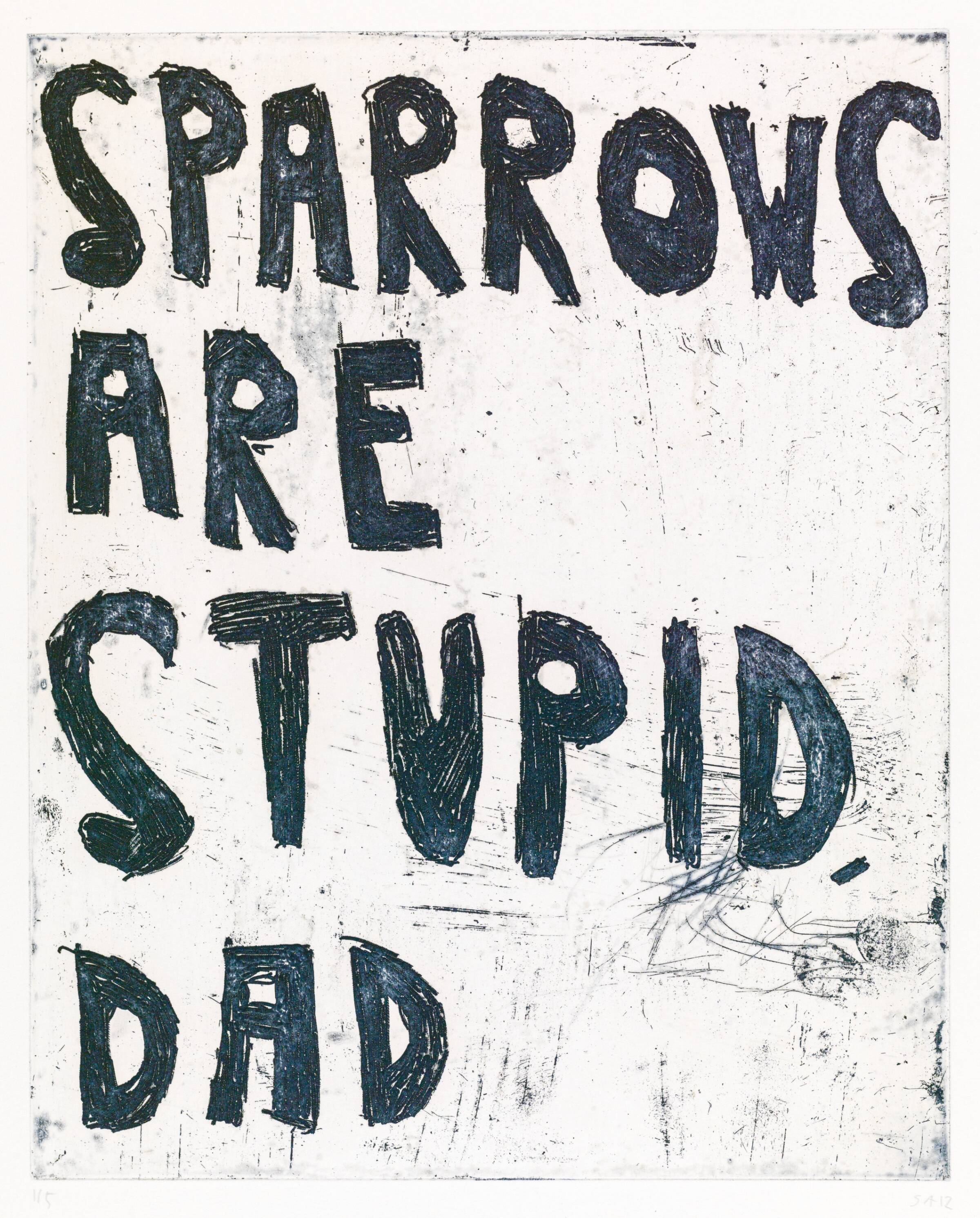 SPARROWS ARE STUPID, DAD, Svend-Allan Sørensen, 2012