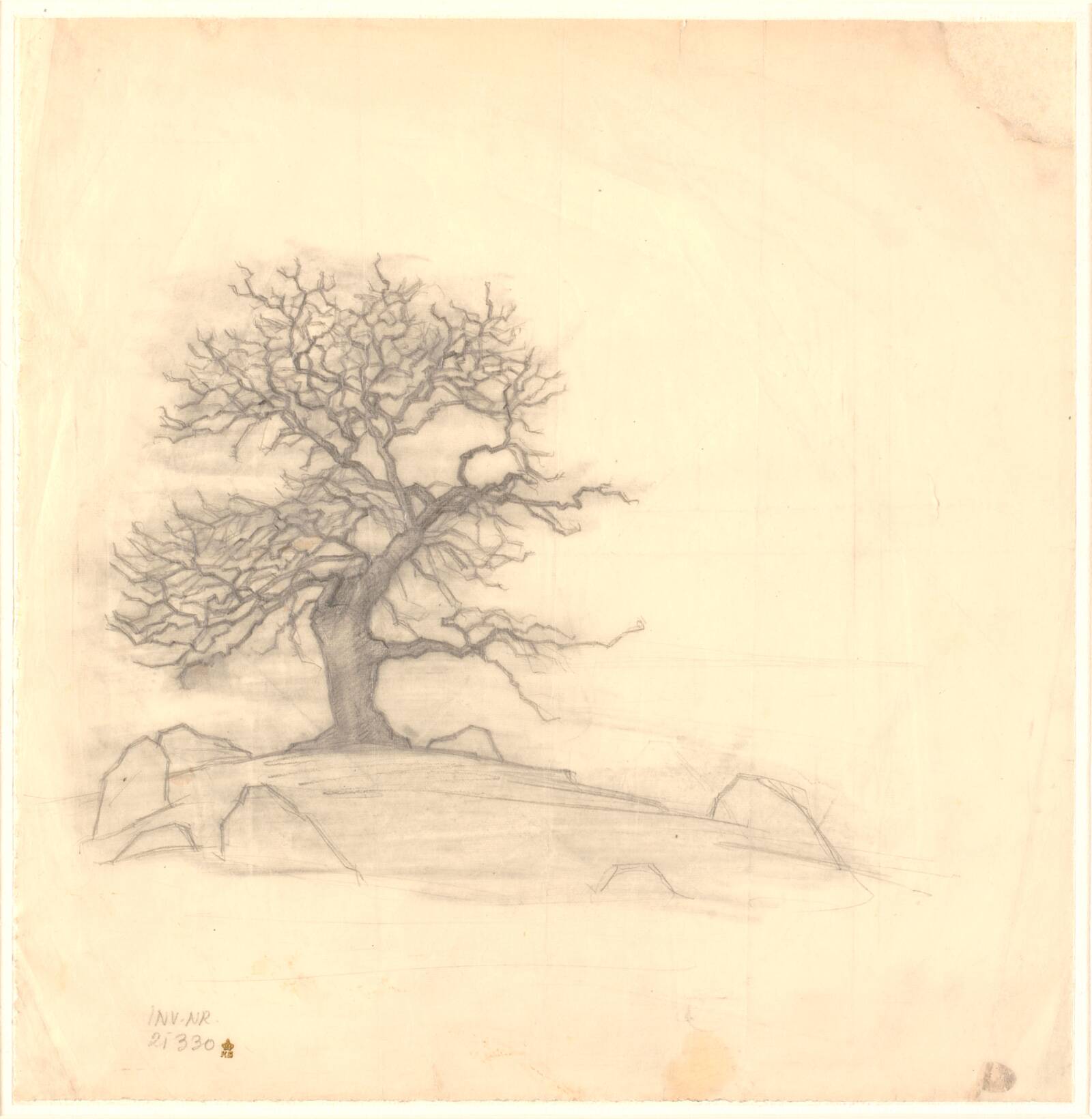 Gammelt egetræ, Svend Hammershøi, 1873-1948