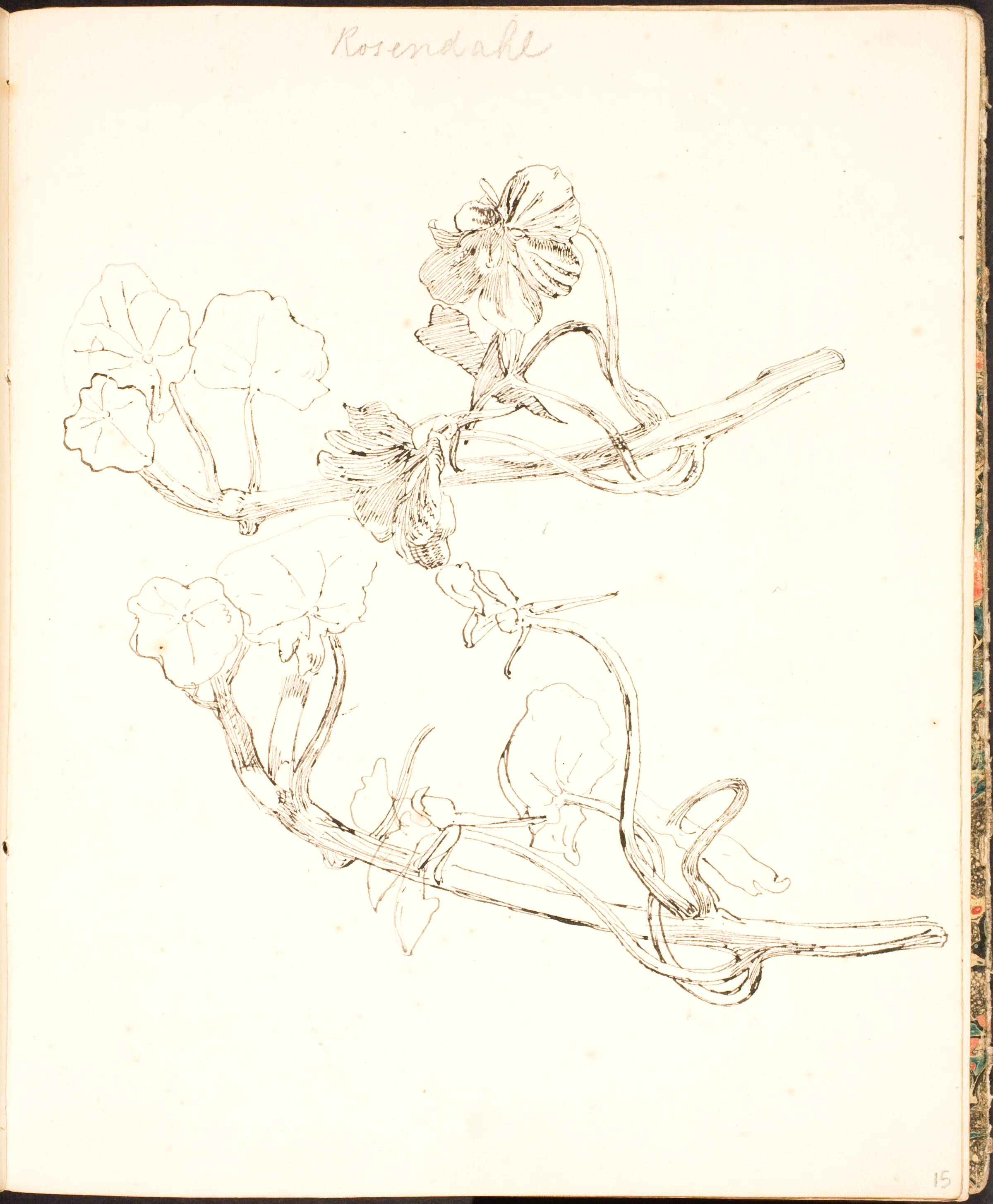 Plantestudier, Lorenz Frølich, 1839
