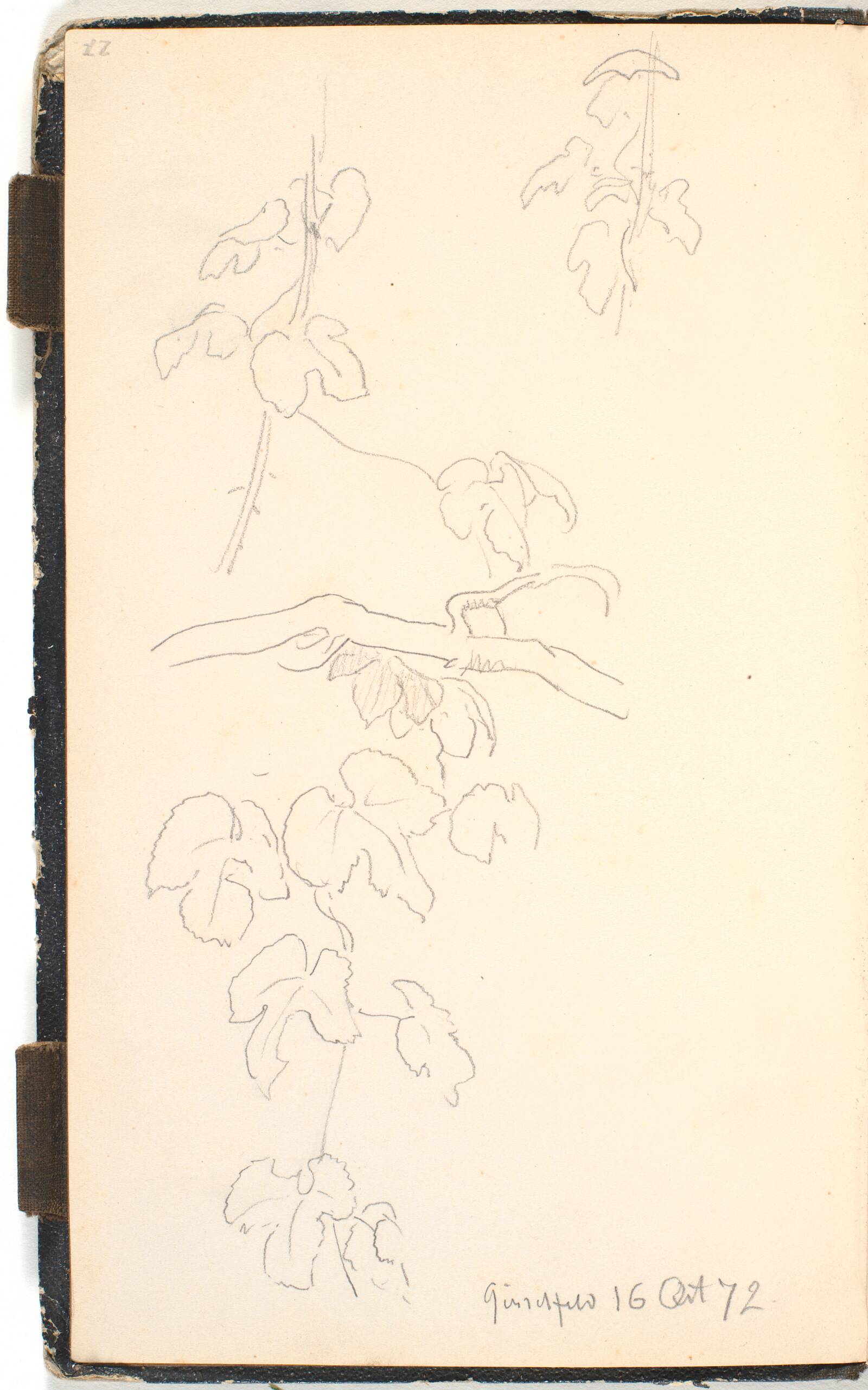 Vinblade, P.C. Skovgaard, 1872