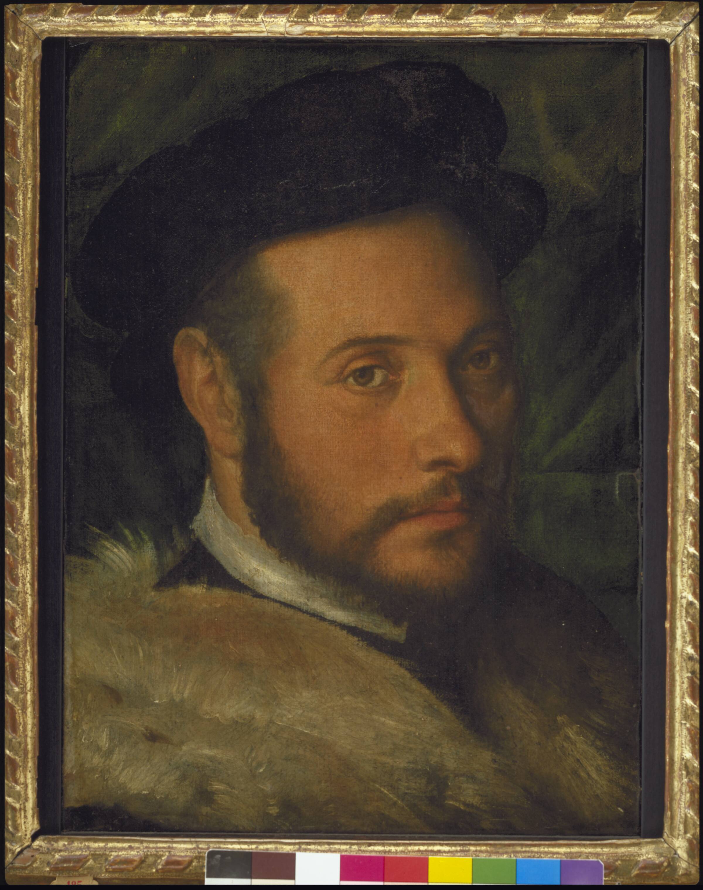 Mandsportræt, Callisto Piazza, 1514-1550