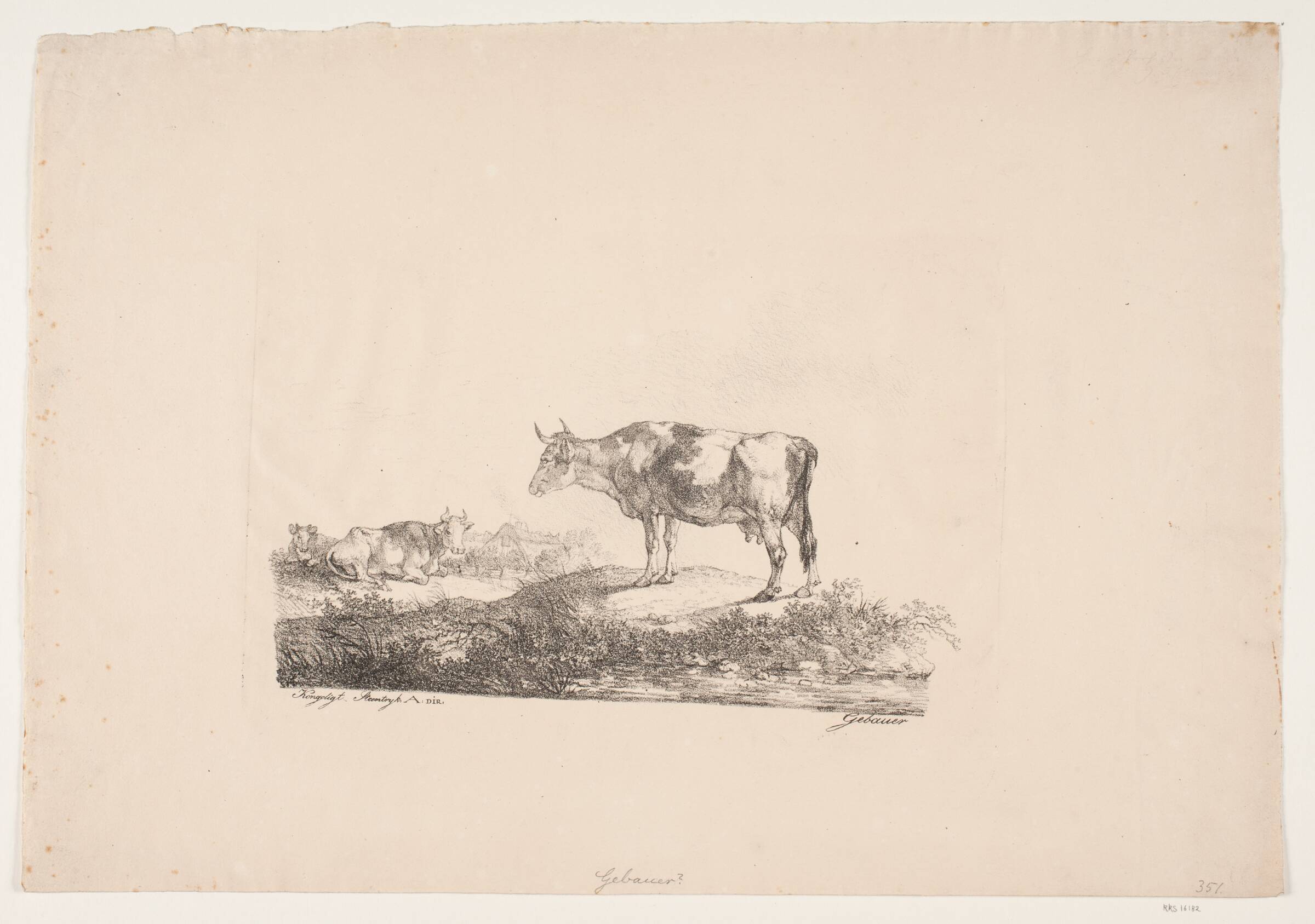 Landskab med to køer, Christian David Gebauer, 1777-1830