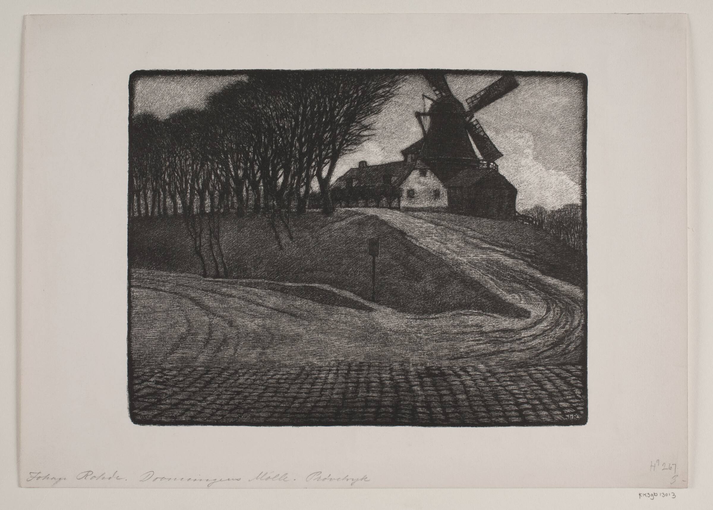Dronningens mølle, Johan Rohde, 1895