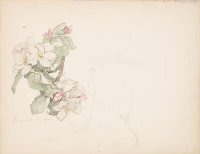 Æbleblomster