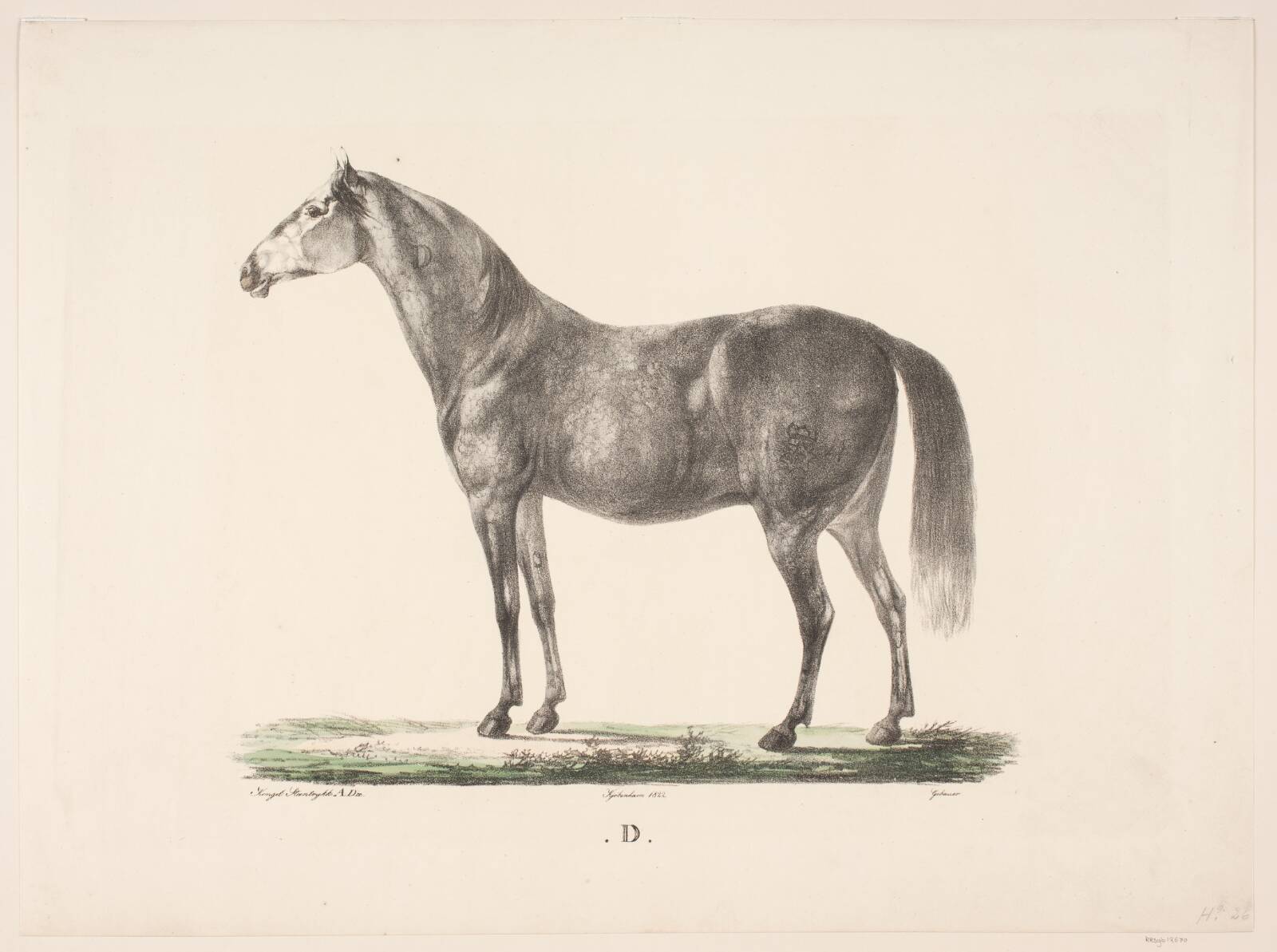 Hesten D, Christian David Gebauer, 1822