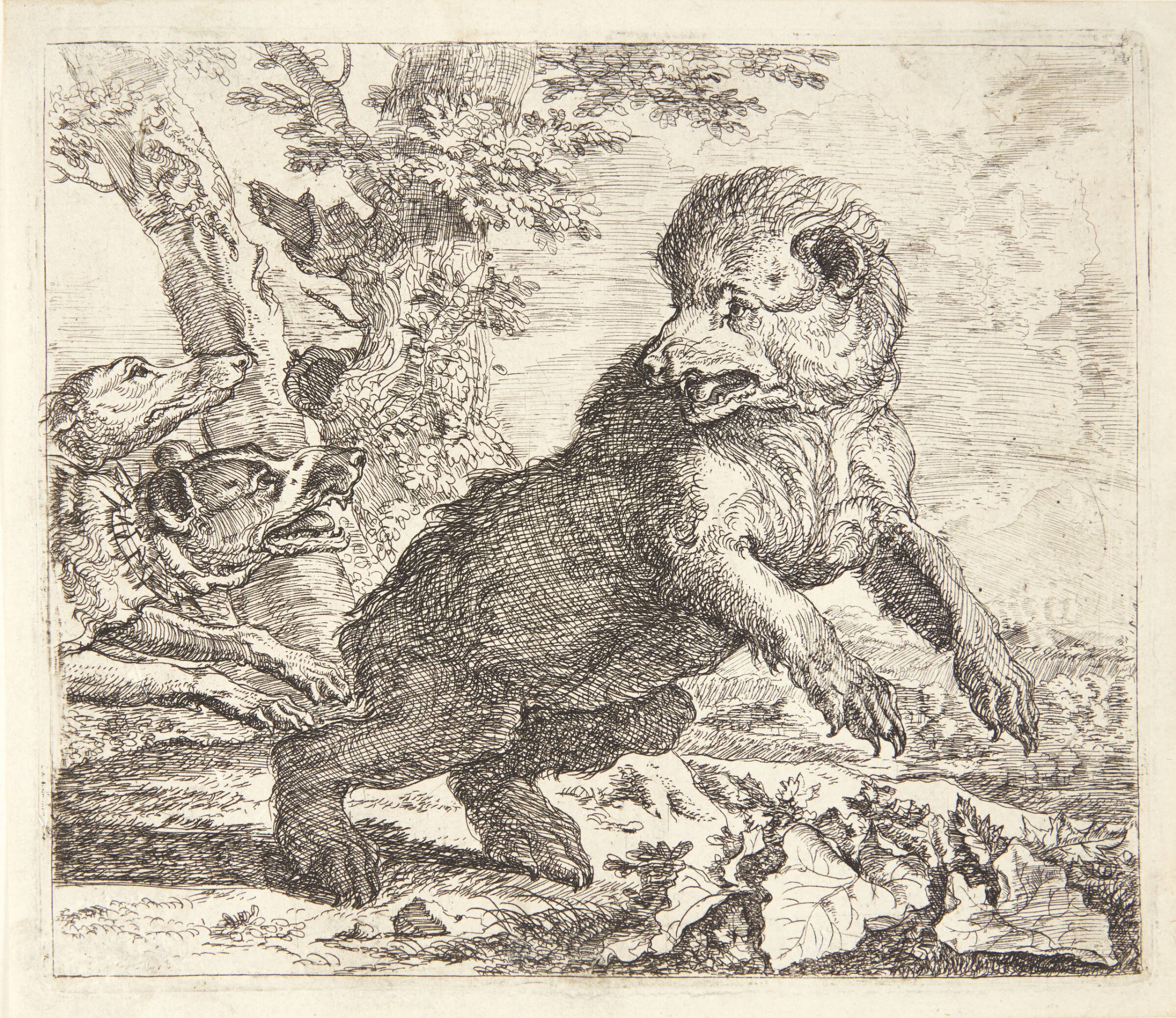 Bjørn jagtet af hunde, Abraham Hondius, 1672
