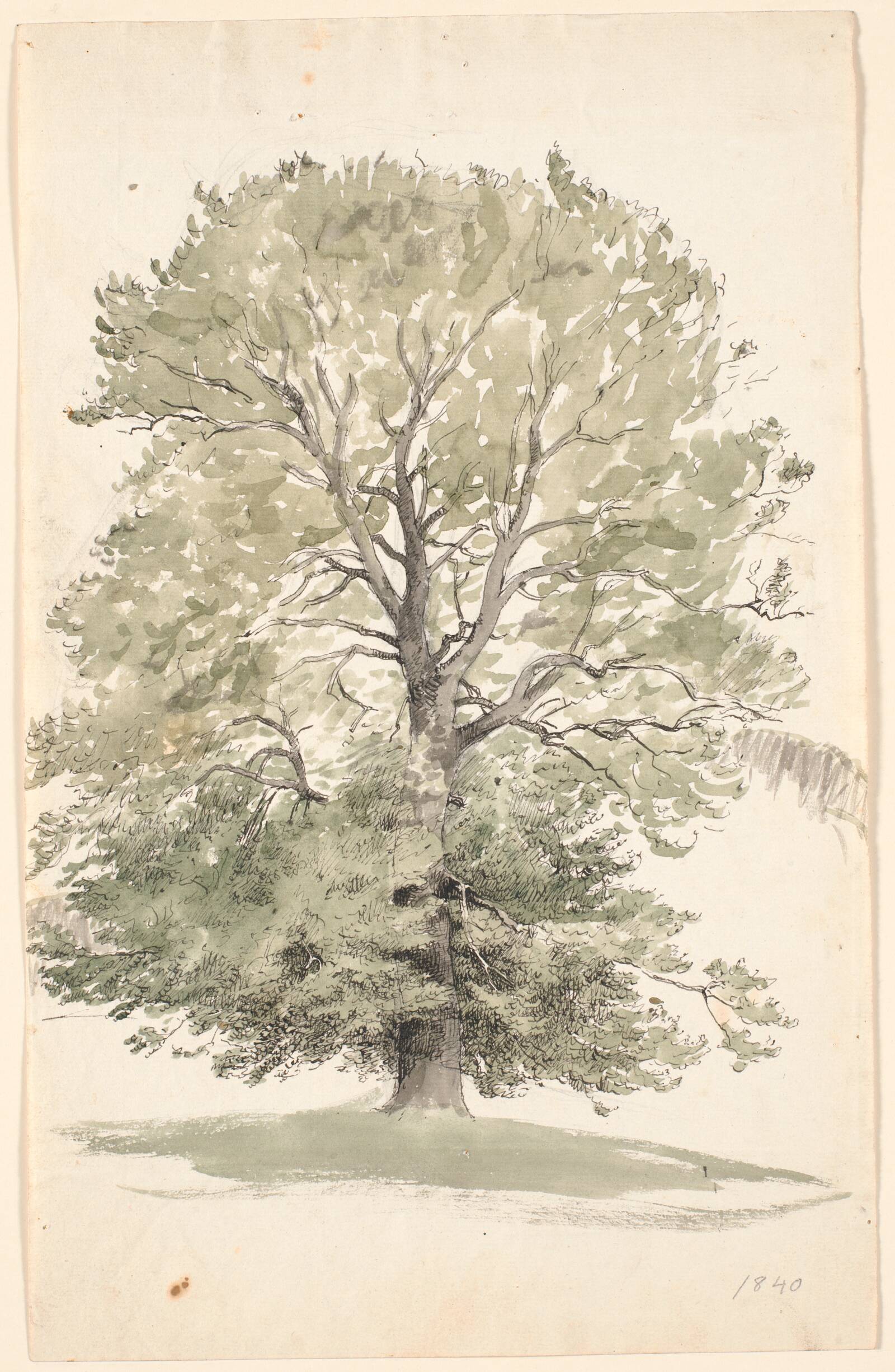 Et stort bøgetræ med grønt løv., P.C. Skovgaard, 1840