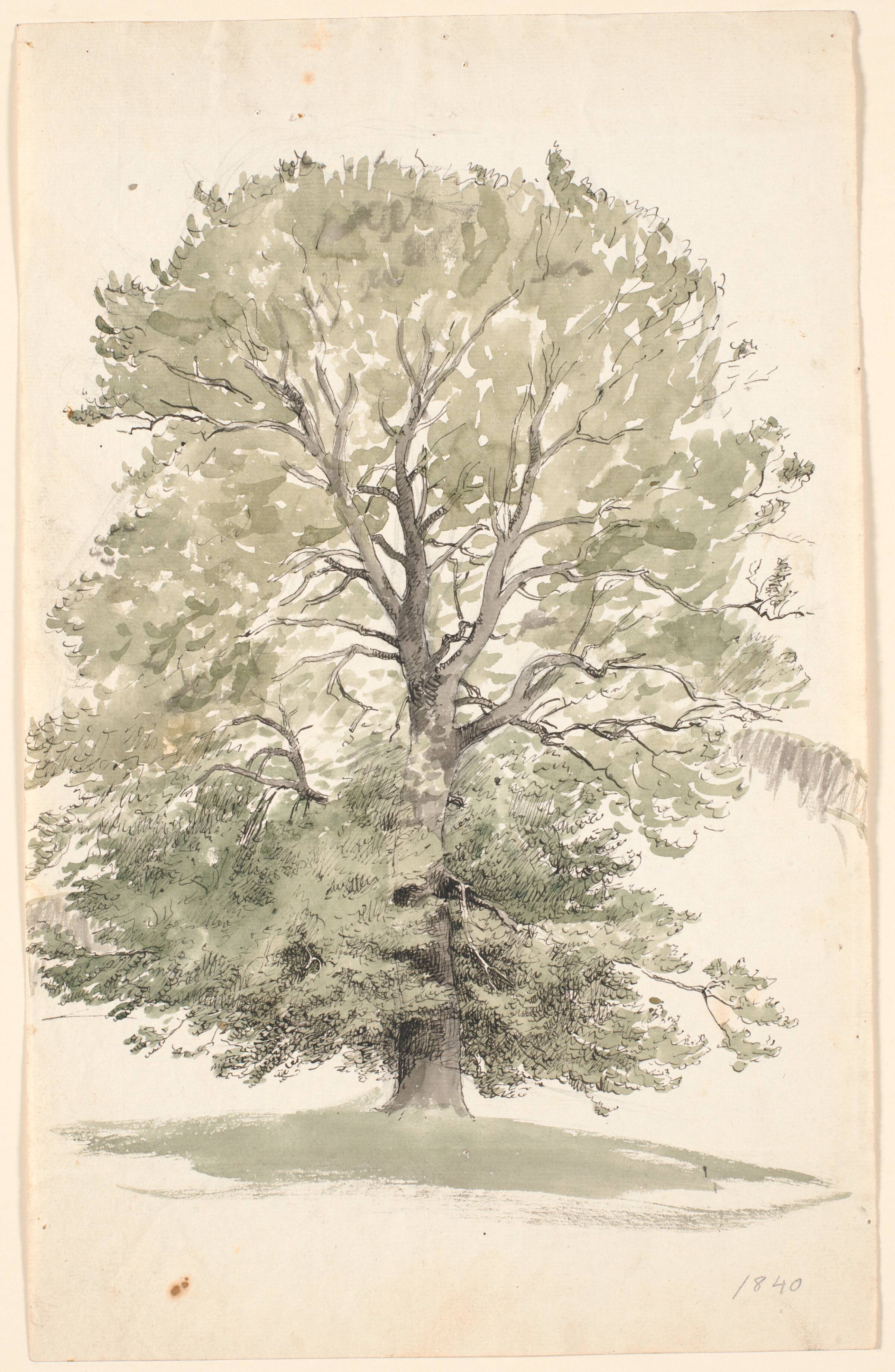 Et stort bøgetræ med grønt løv., P.C. Skovgaard, 1840