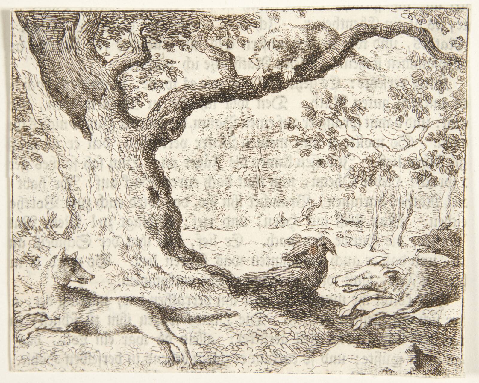 Den illoyale kat, Allaert van Everdingen, 1621-1675