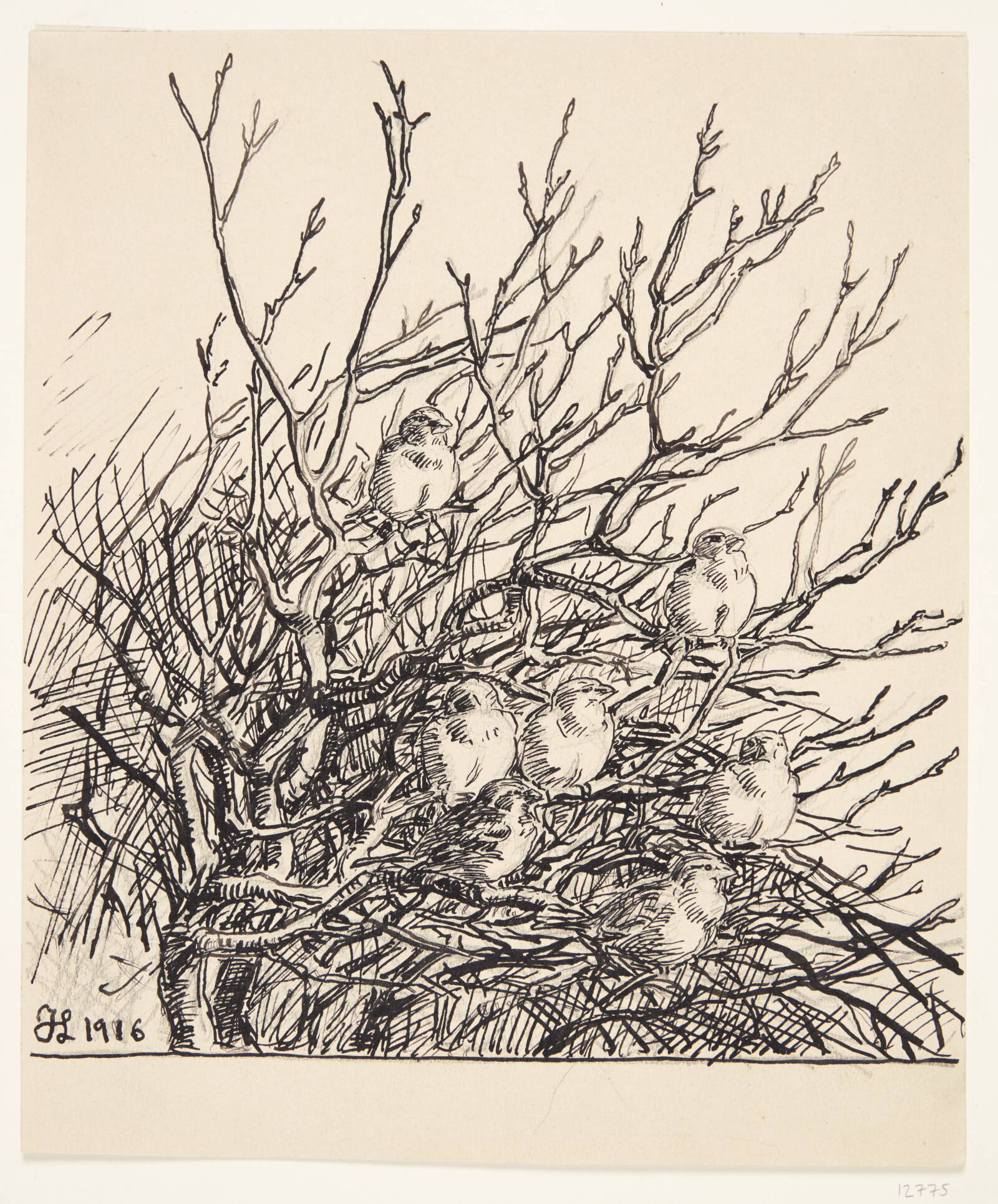 Spurve i morgensol, Johannes Larsen, 1916