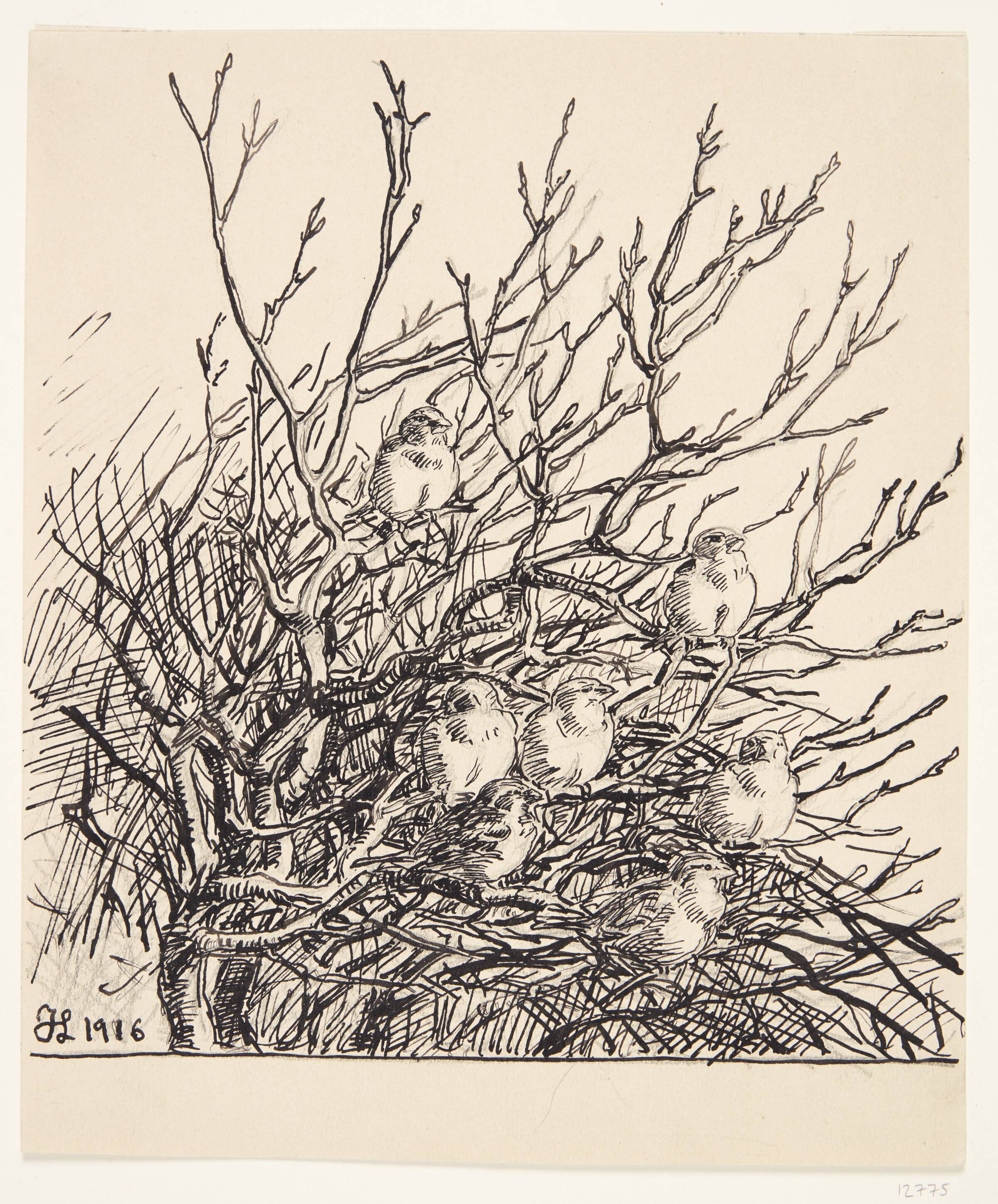Spurve i morgensol, Johannes Larsen, 1916