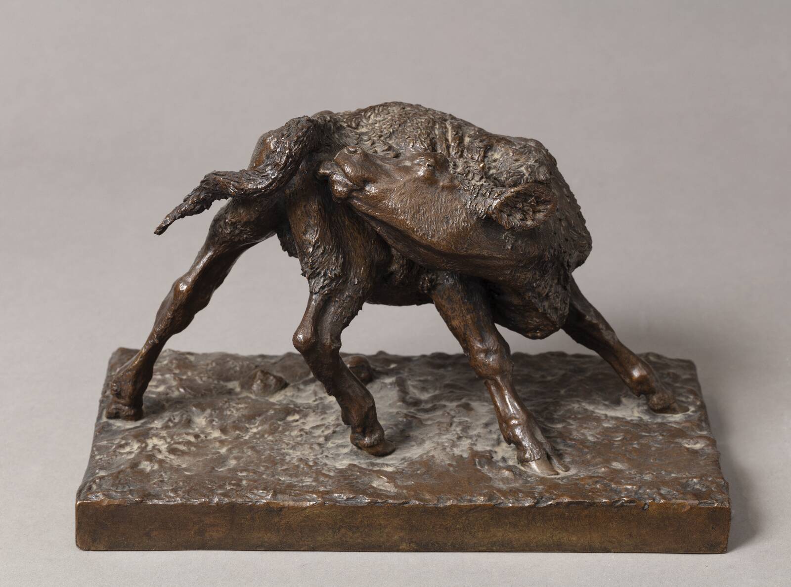 A Calf Licking Itself, by Anne Marie Carl Nielsen, 1888