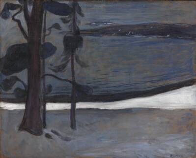 Vinter ved Nordstrand