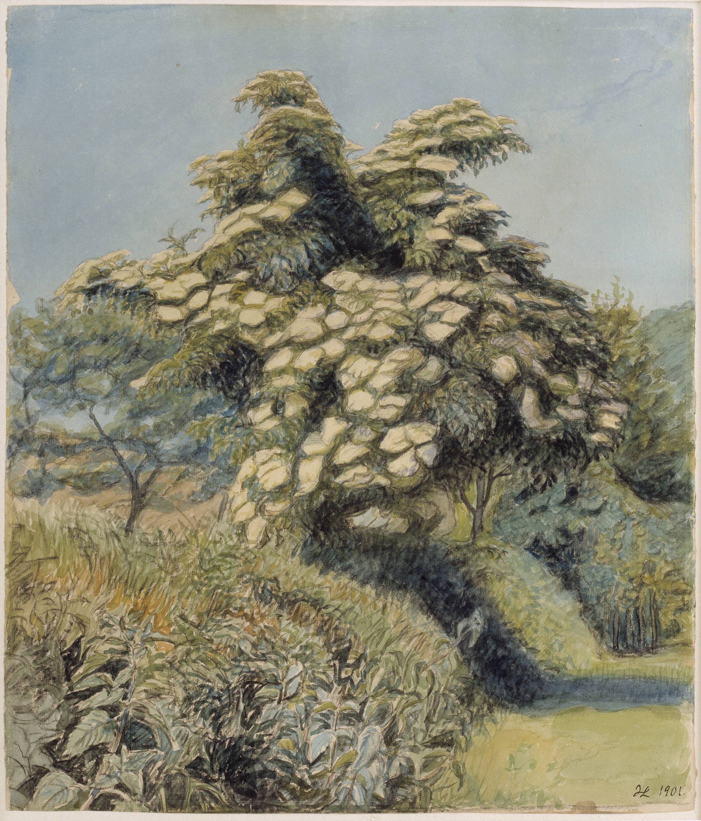 Blomst, Blomstrende hyld i en have, Johannes Larsen, 1901