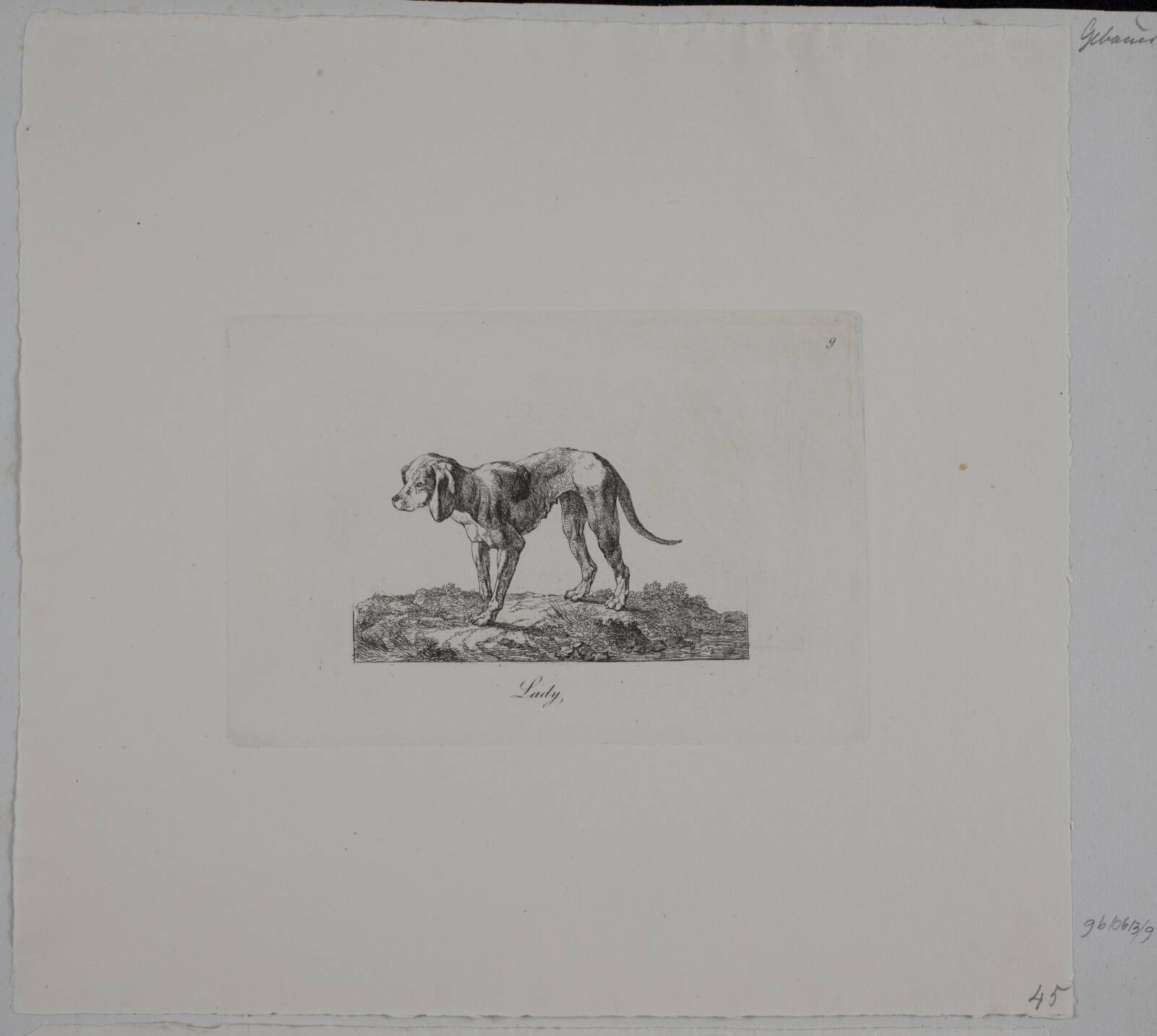 Lady, Christian David Gebauer, 1821