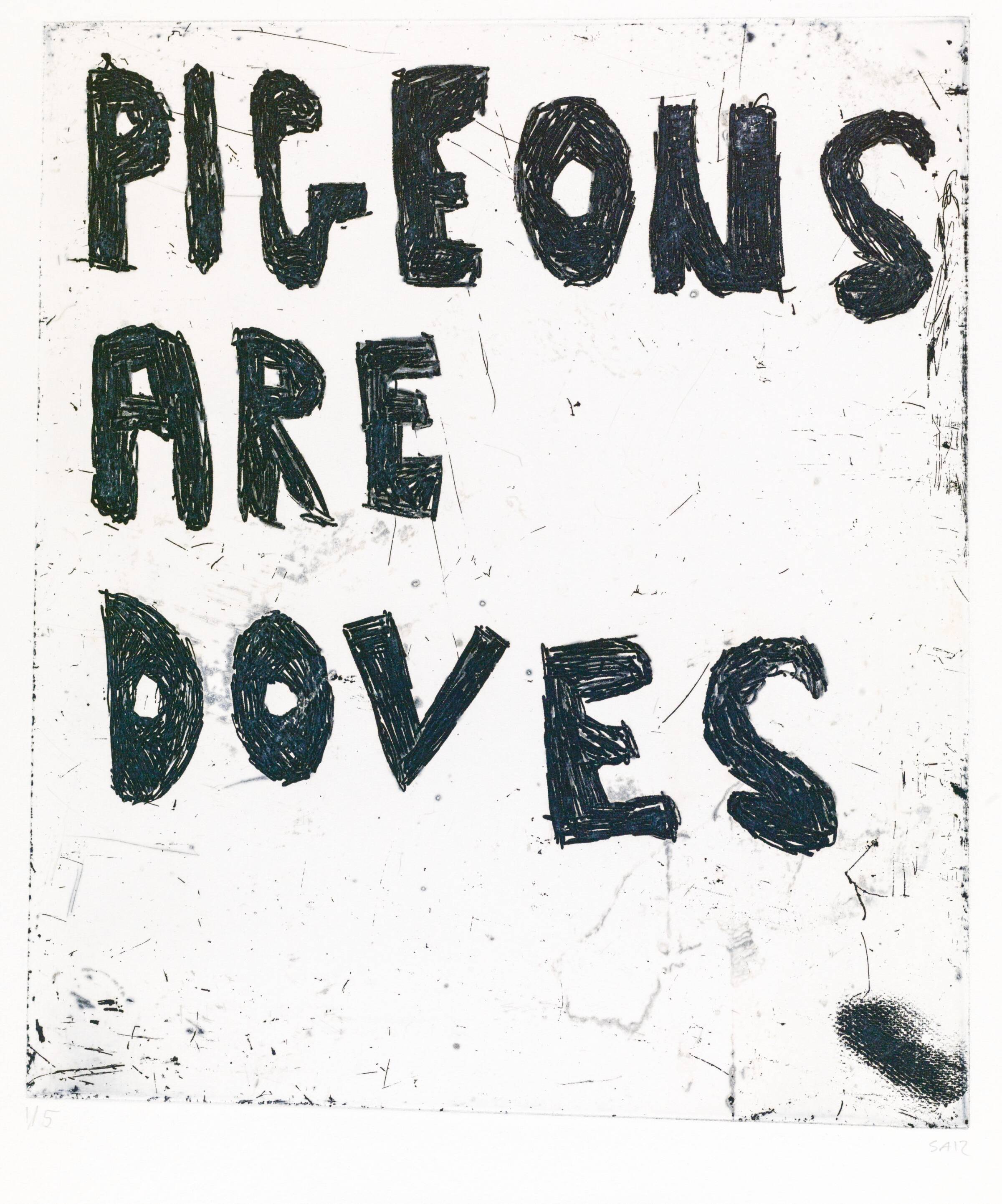 PIGEONS ARE DOVES, Svend-Allan Sørensen, 2012