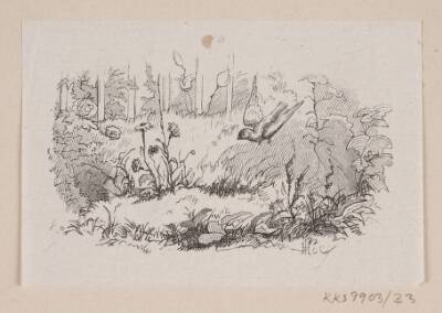 Illustration til "Gaaseurten" i H.C. Andersen, "Eventyr og Historier", Bind 1