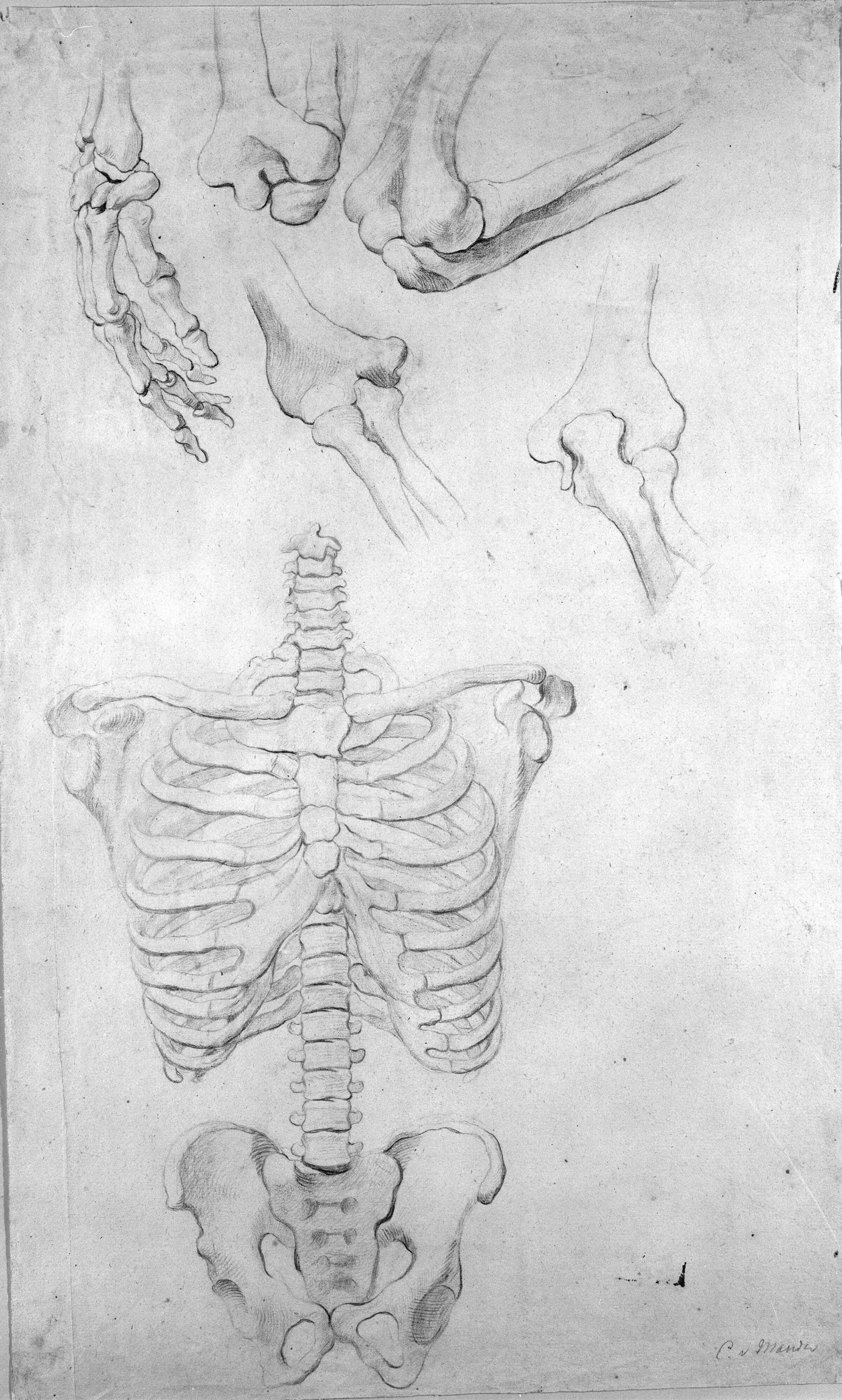 Hånd i profil; fire gengivelser af albueled; rygrad med brystkasse og bækken, frontalt., Mander III, Karel van, 1660-1663