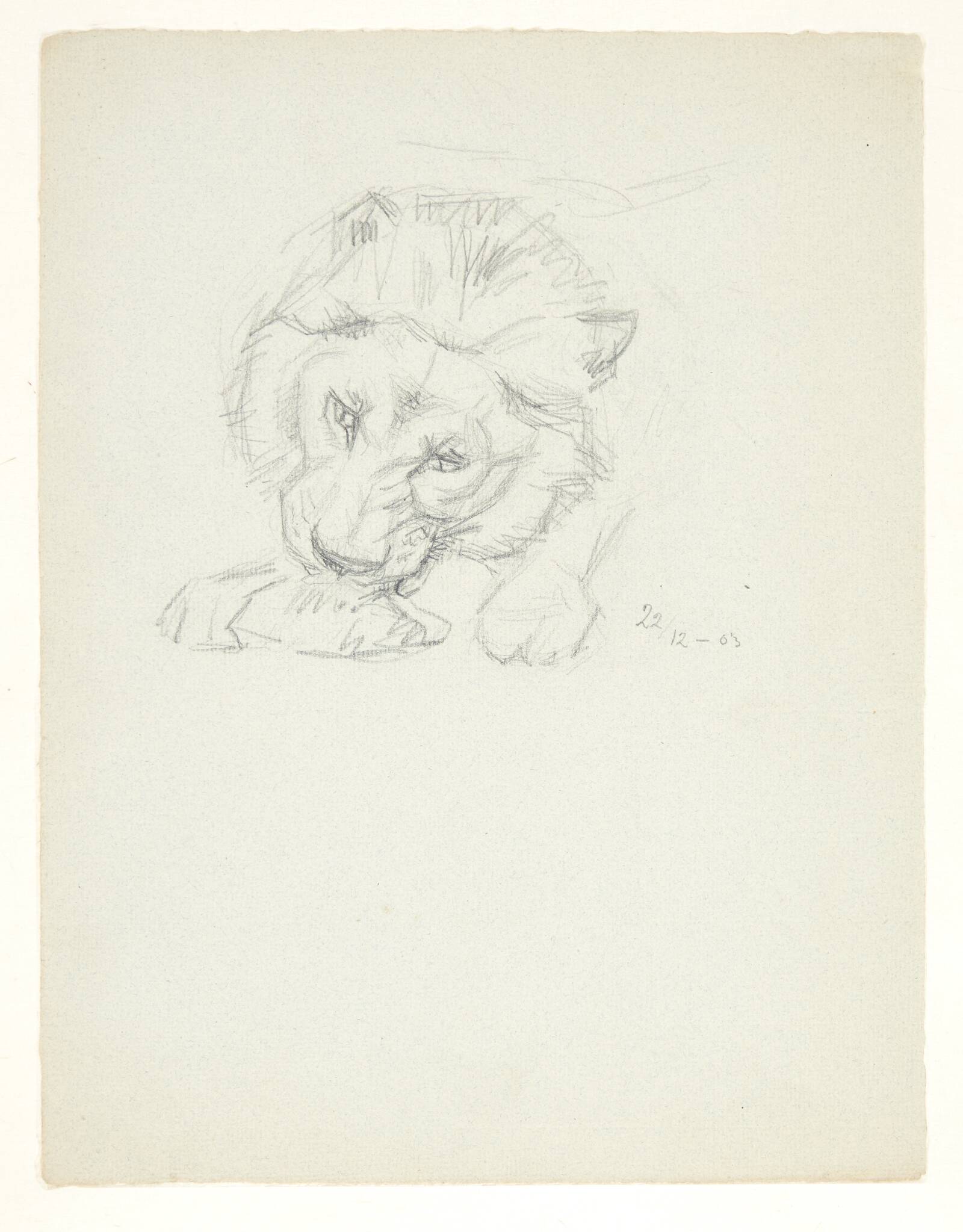 Løve, der spiser, Svend Rathsack, 1903