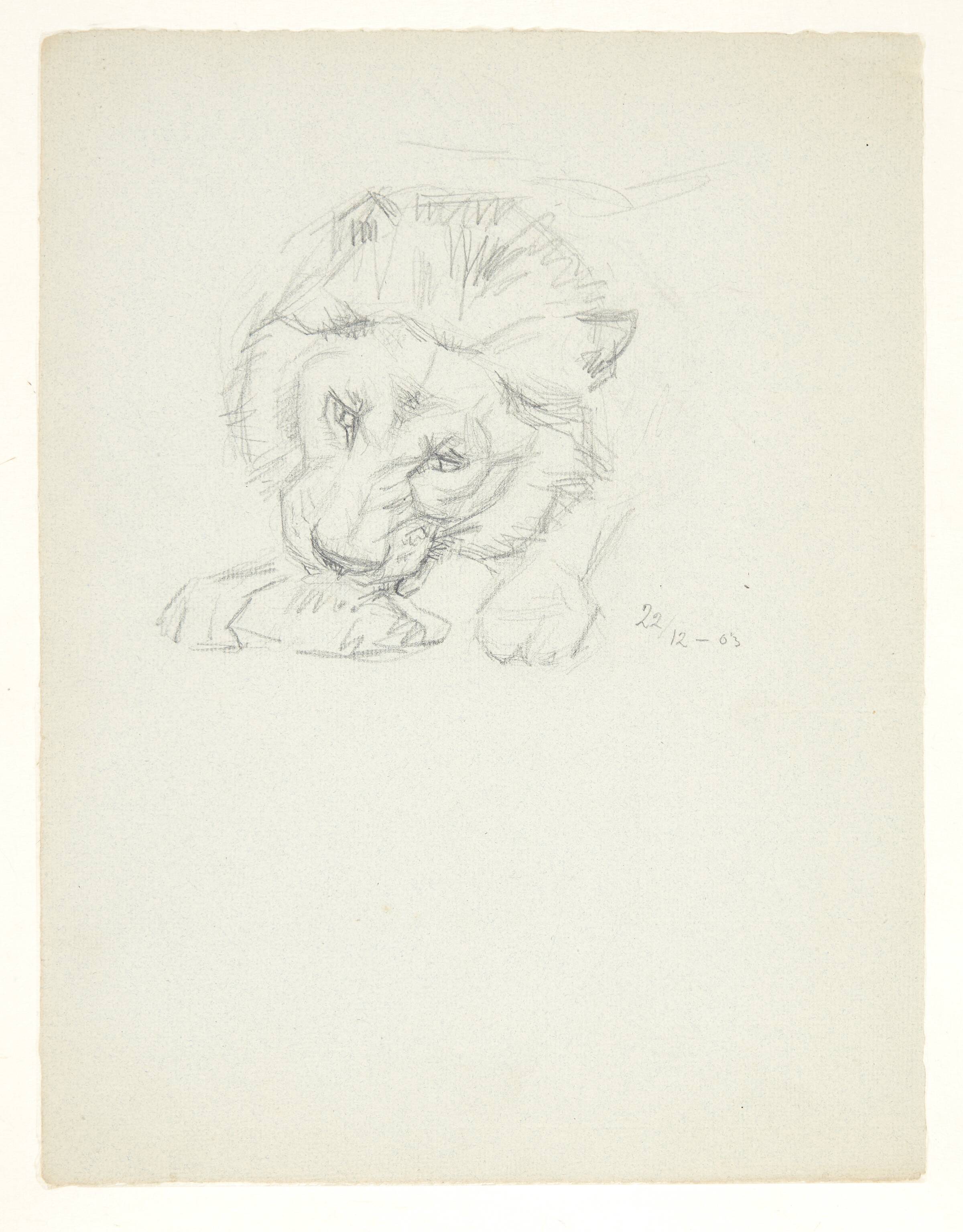 Løve, der spiser, Svend Rathsack, 1903