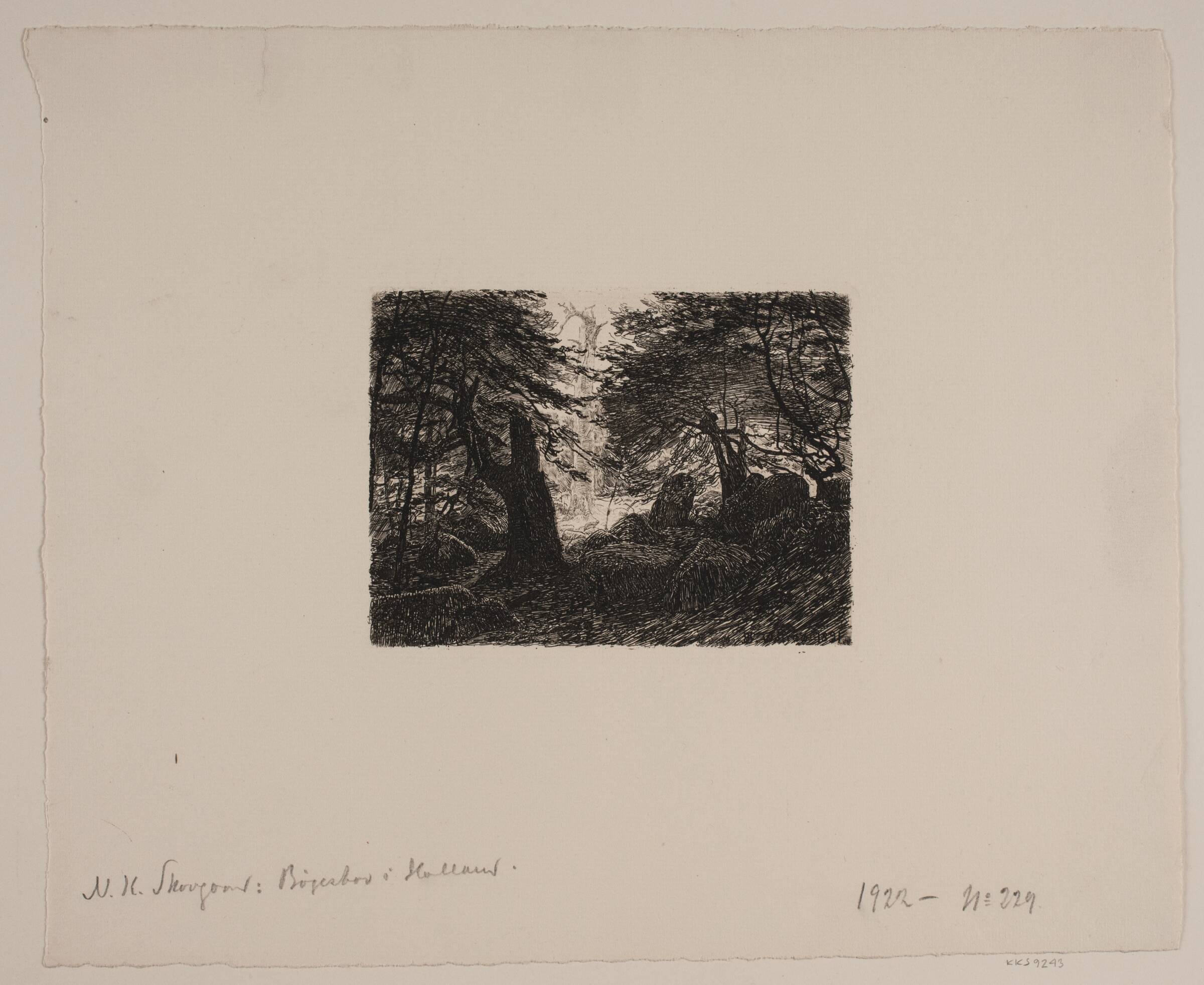 Bøge og sten, Niels Skovgaard, 1891