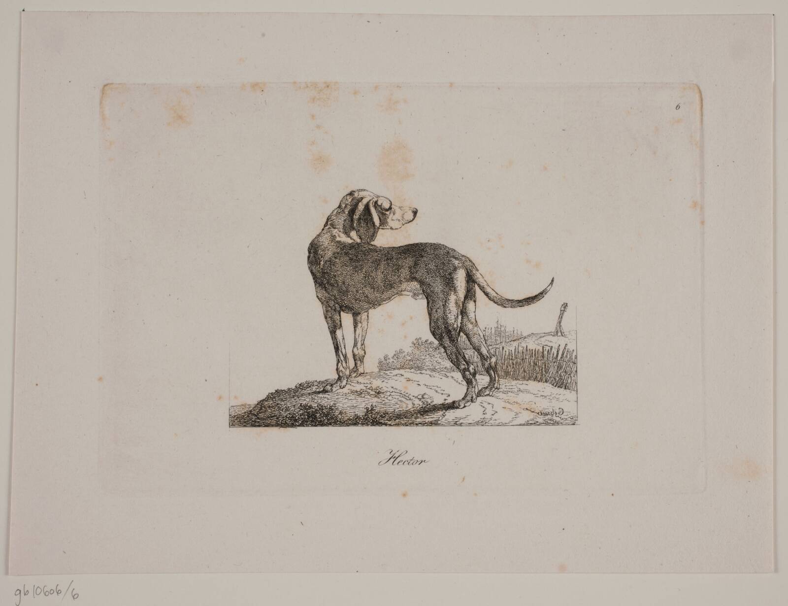 Hector, Christian David Gebauer, 1821
