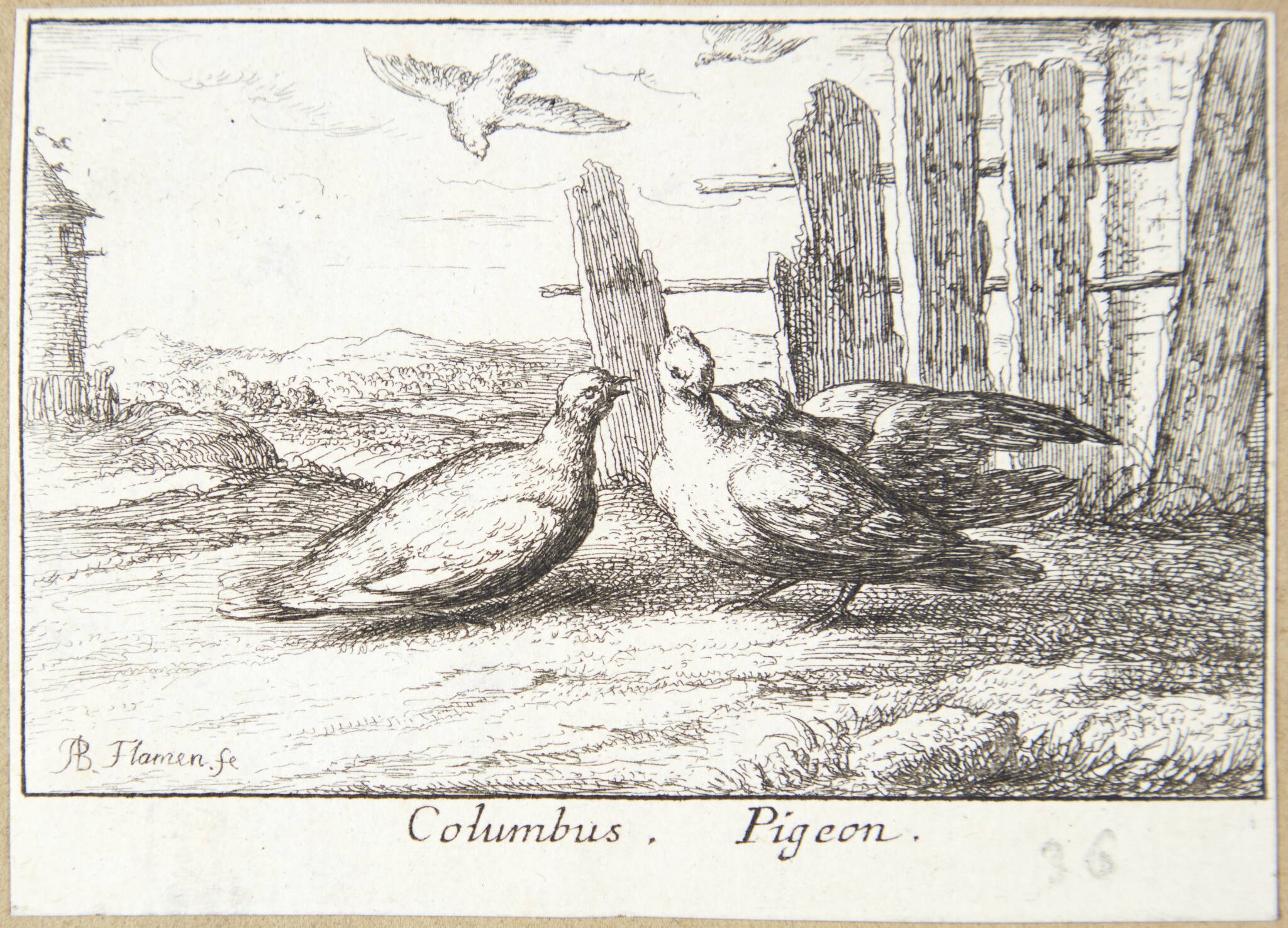 Duen (Columbus)