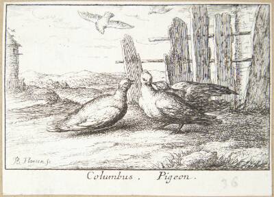 Duen (Columbus)