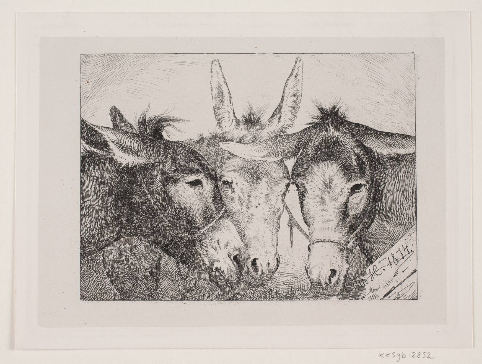 Tre æselhoveder, Otto Haslund, 1874