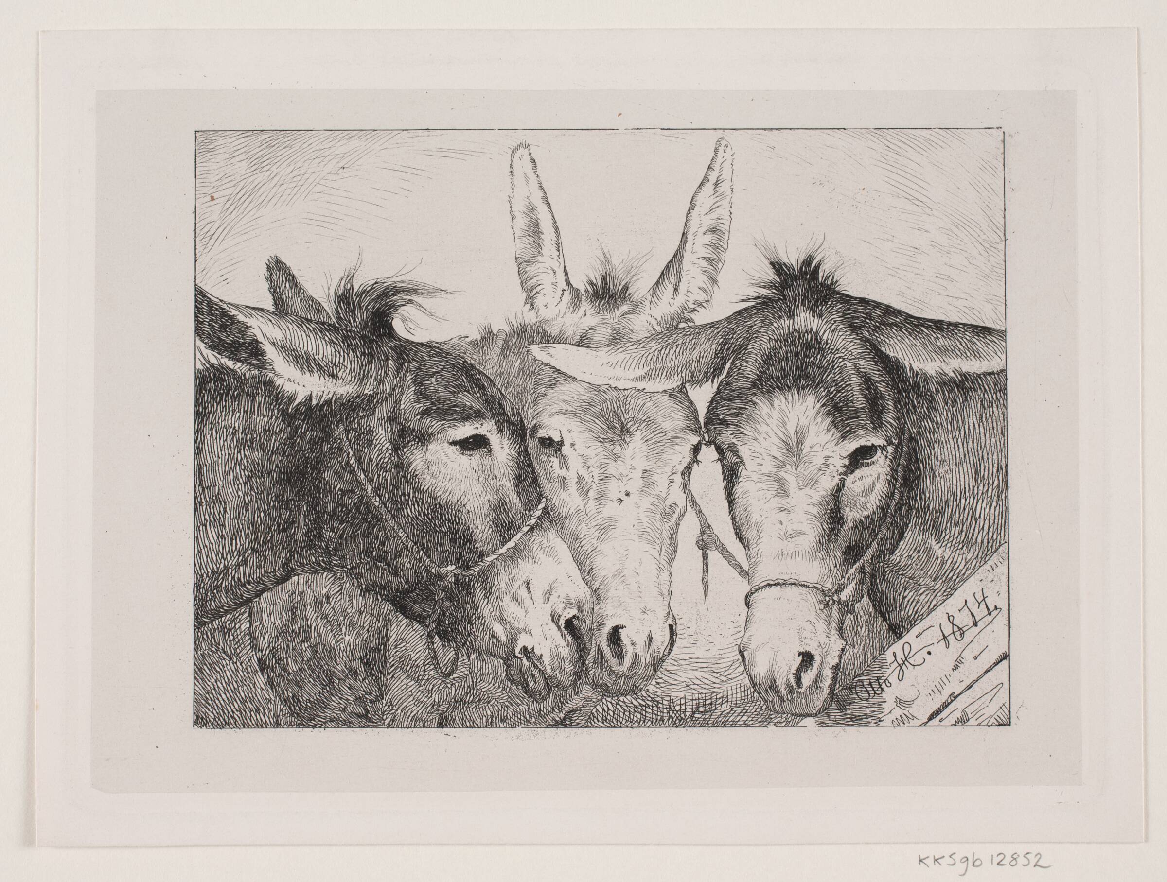 Tre æselhoveder, Otto Haslund, 1874