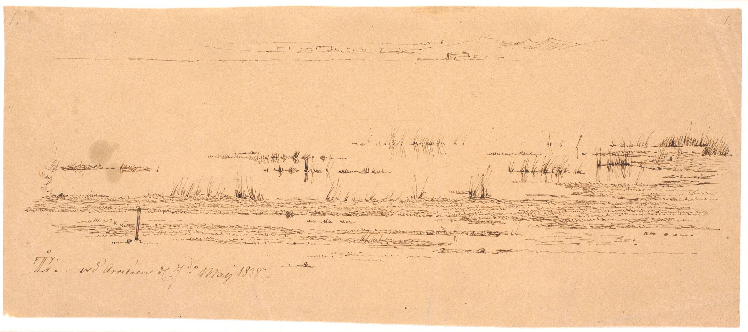 Forgrundsstudie af en søbred, Johan Thomas Lundbye, 1838