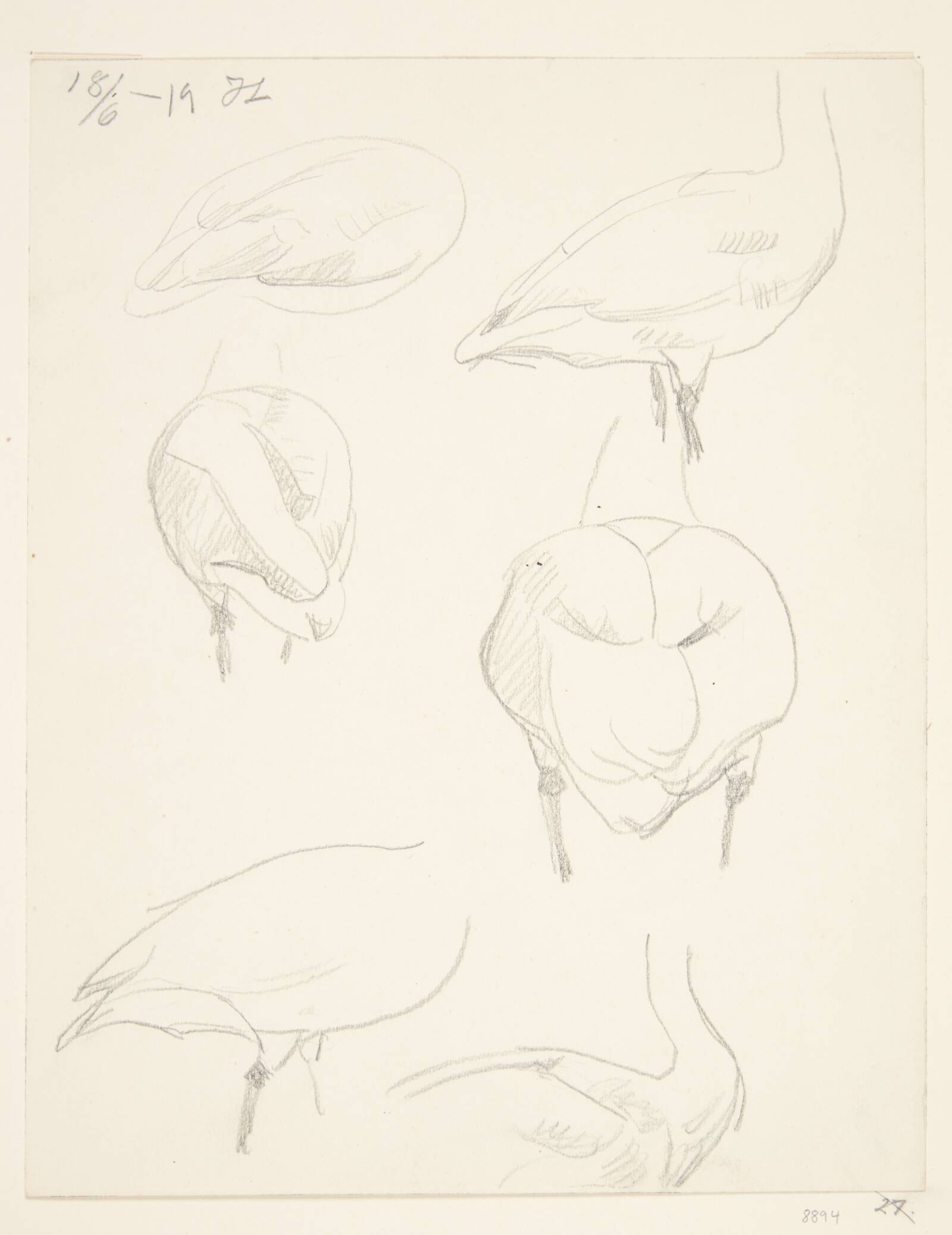 Stående svaner, Johannes Larsen, 1919