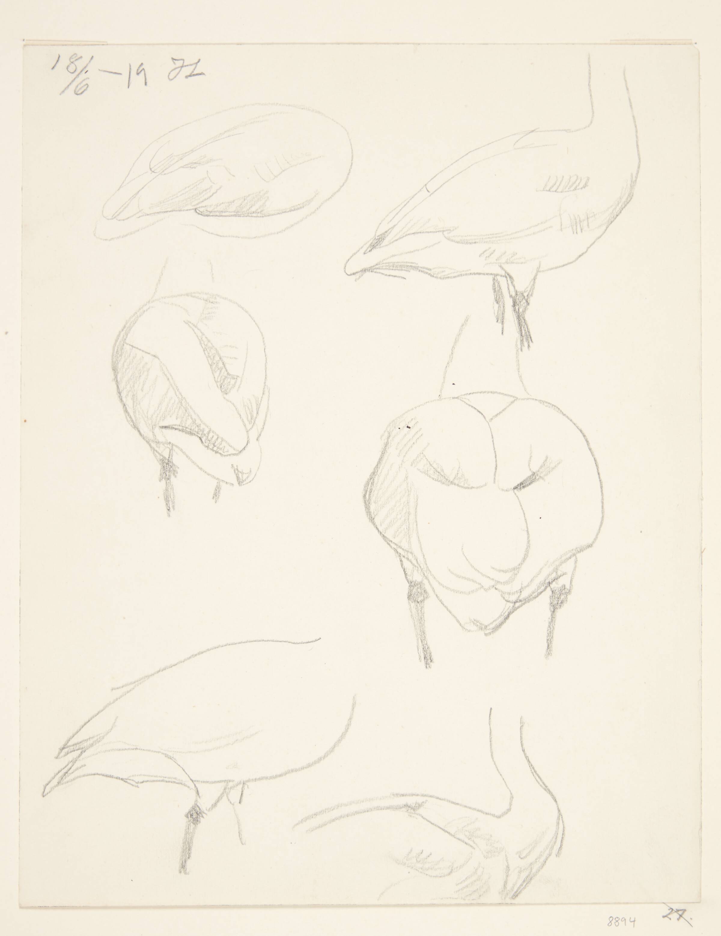 Stående svaner, Johannes Larsen, 1919