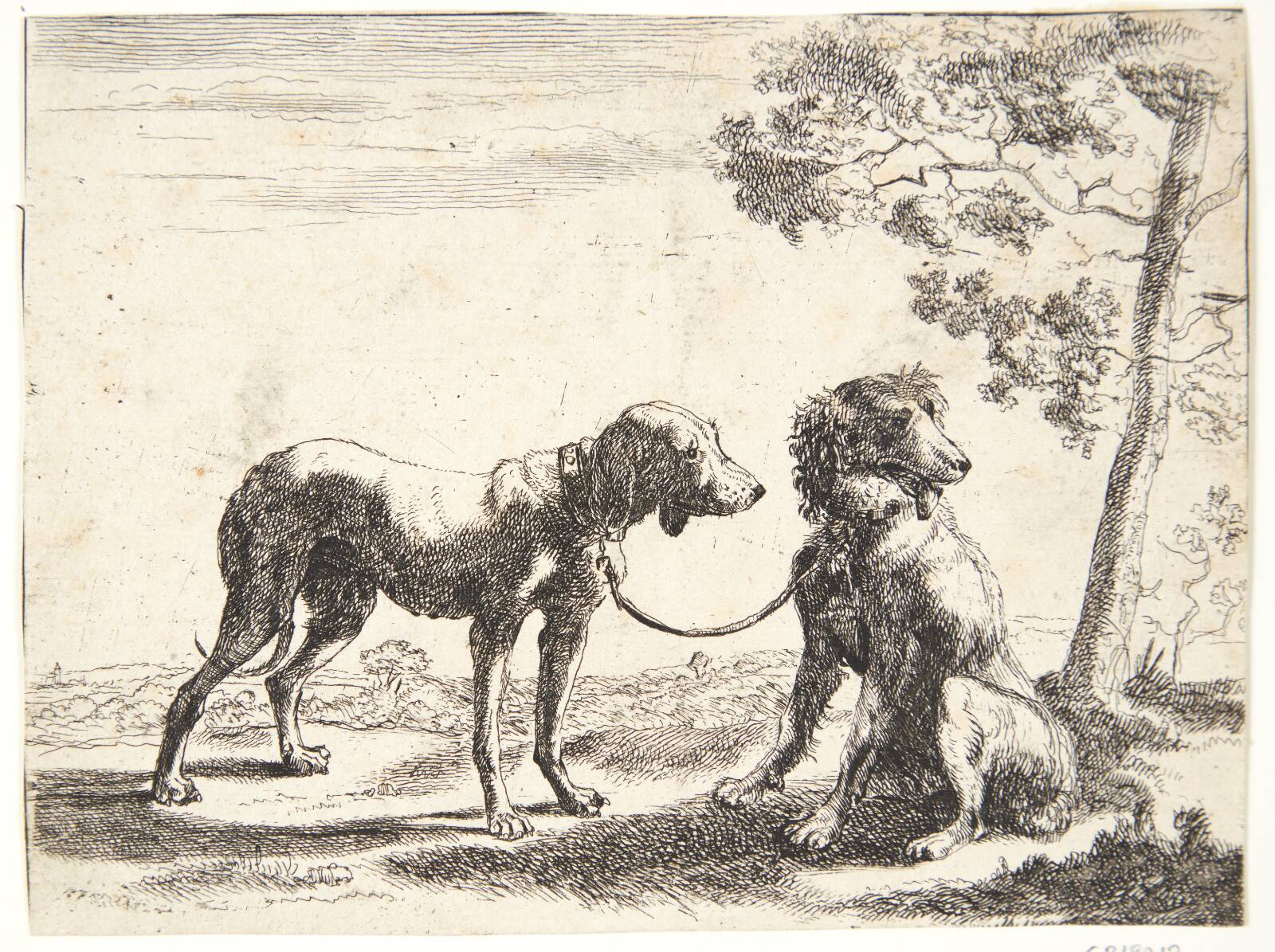 To hunde bundet sammen, Paulus van Hillegaert, 1654