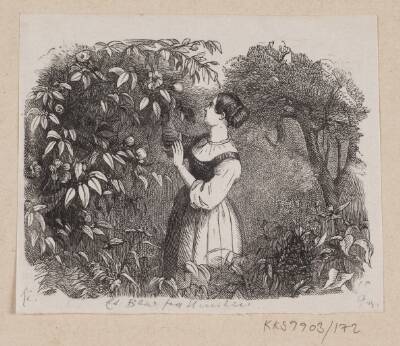 Illustration til "Et Blad fra Himlen" i H.C. Andersen, "Eventyr og Historier", Bind 2