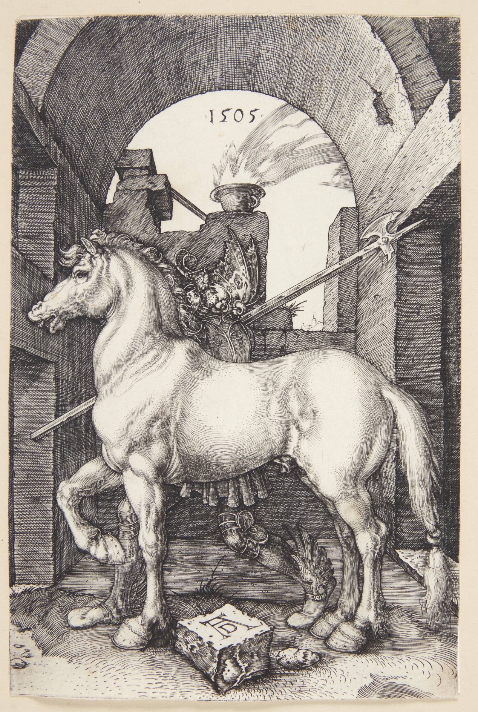 Den lille hest, Albrecht Dürer, 1505