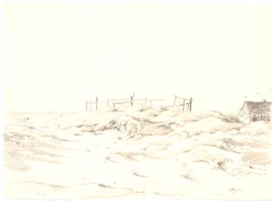 Klitlandskab, Skagen
