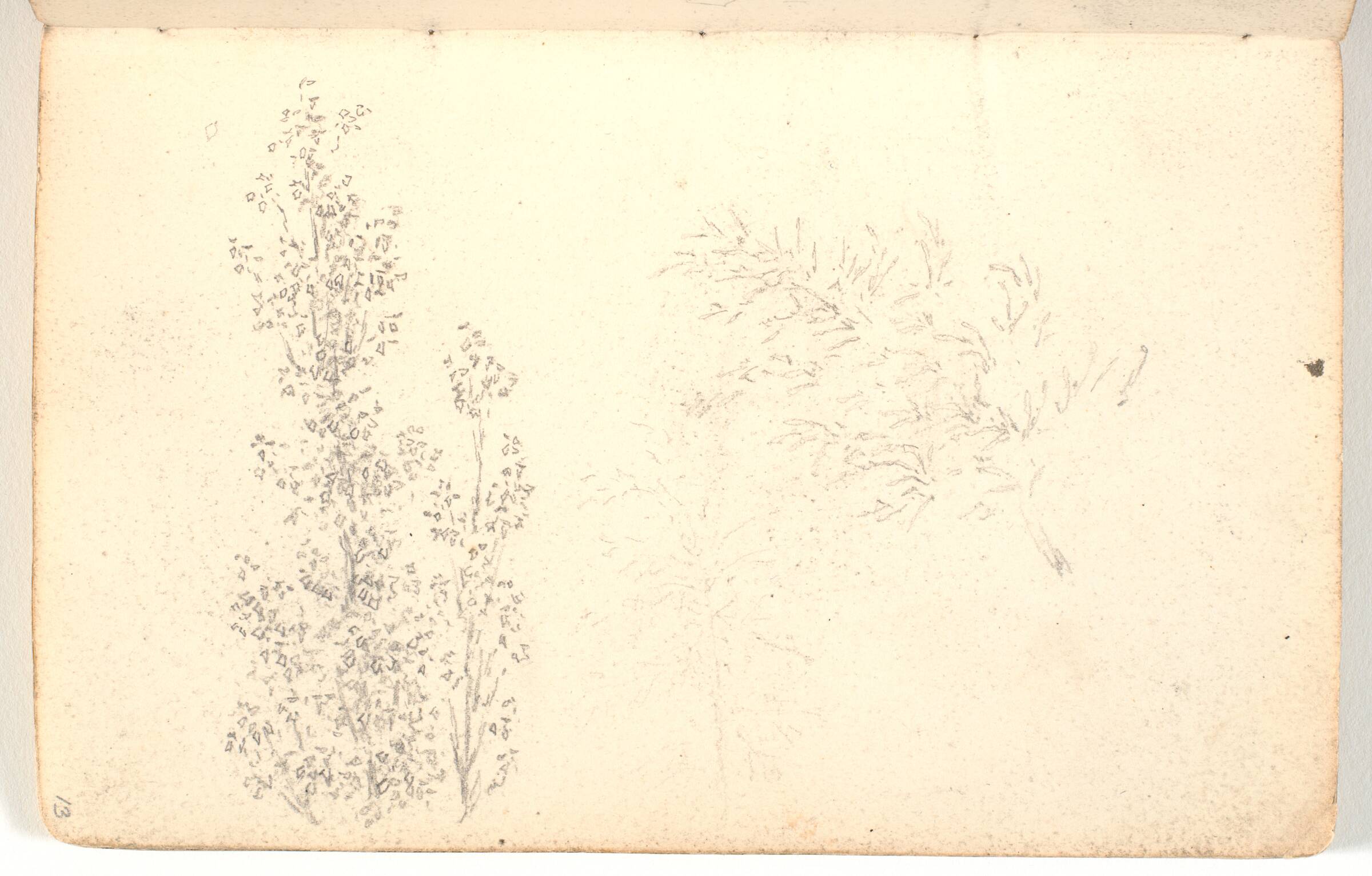 Studier af grene, Martinus Rørbye, 1825-1826
