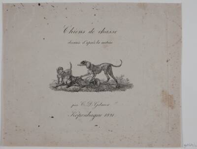 Titelblad til "Chiens de chasse"