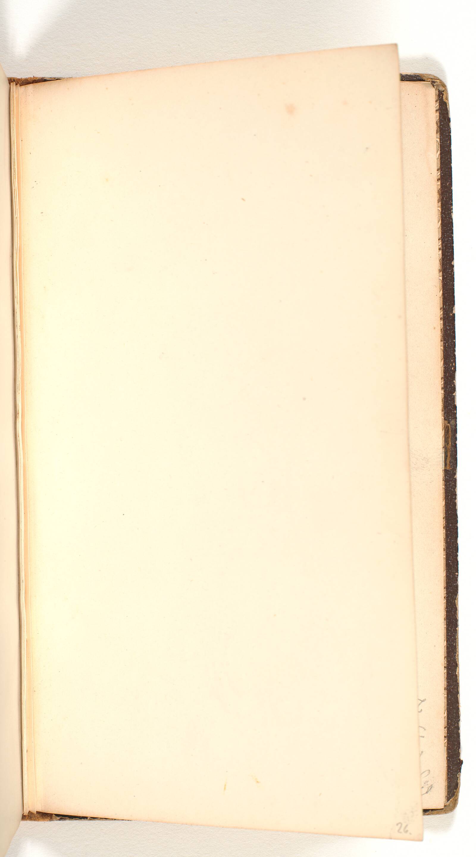 Blank side, P.C. Skovgaard, 1873