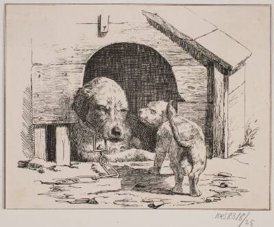 Hundehvalpen