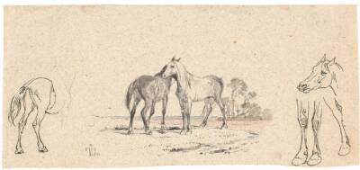 De to heste; samt studie af heste