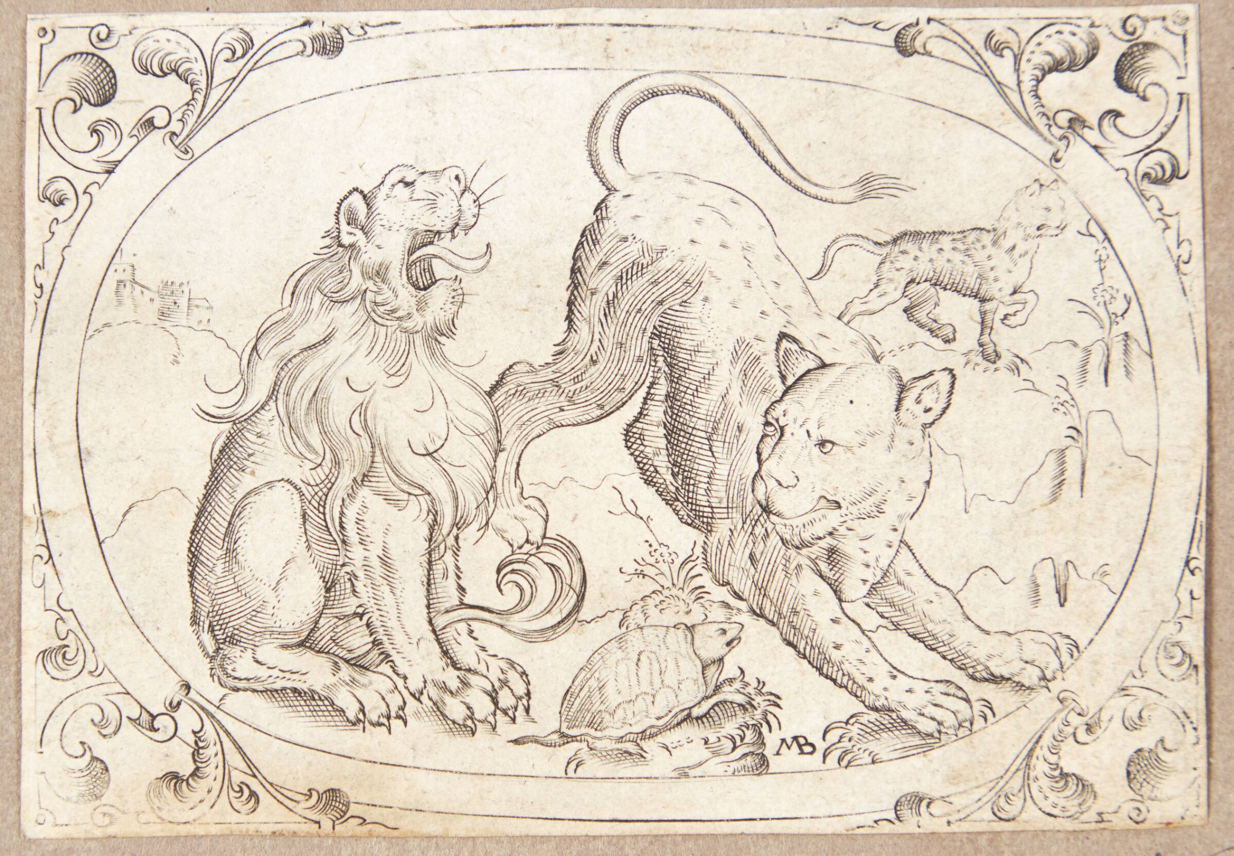 En løve, to leoparder og en skildpadde, Mathias Beytler, 1581-1583