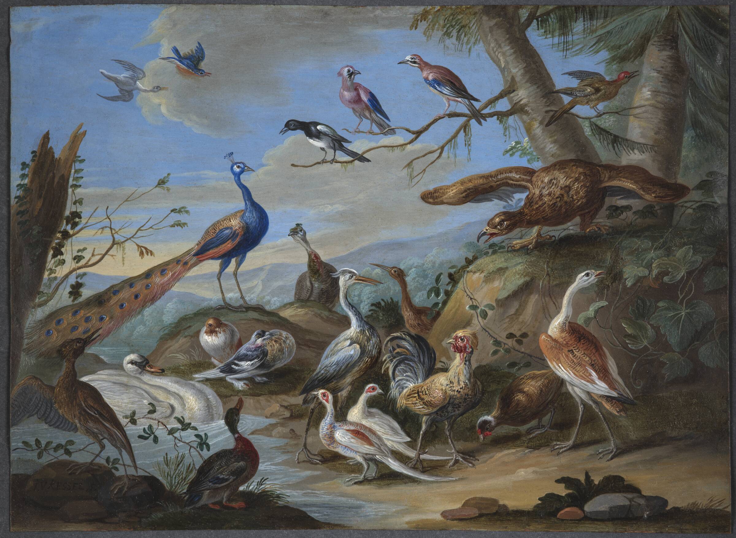 Bakkelandskab med påfugl, ørn og andre fugle, Jan van Kessel, 1660-1669