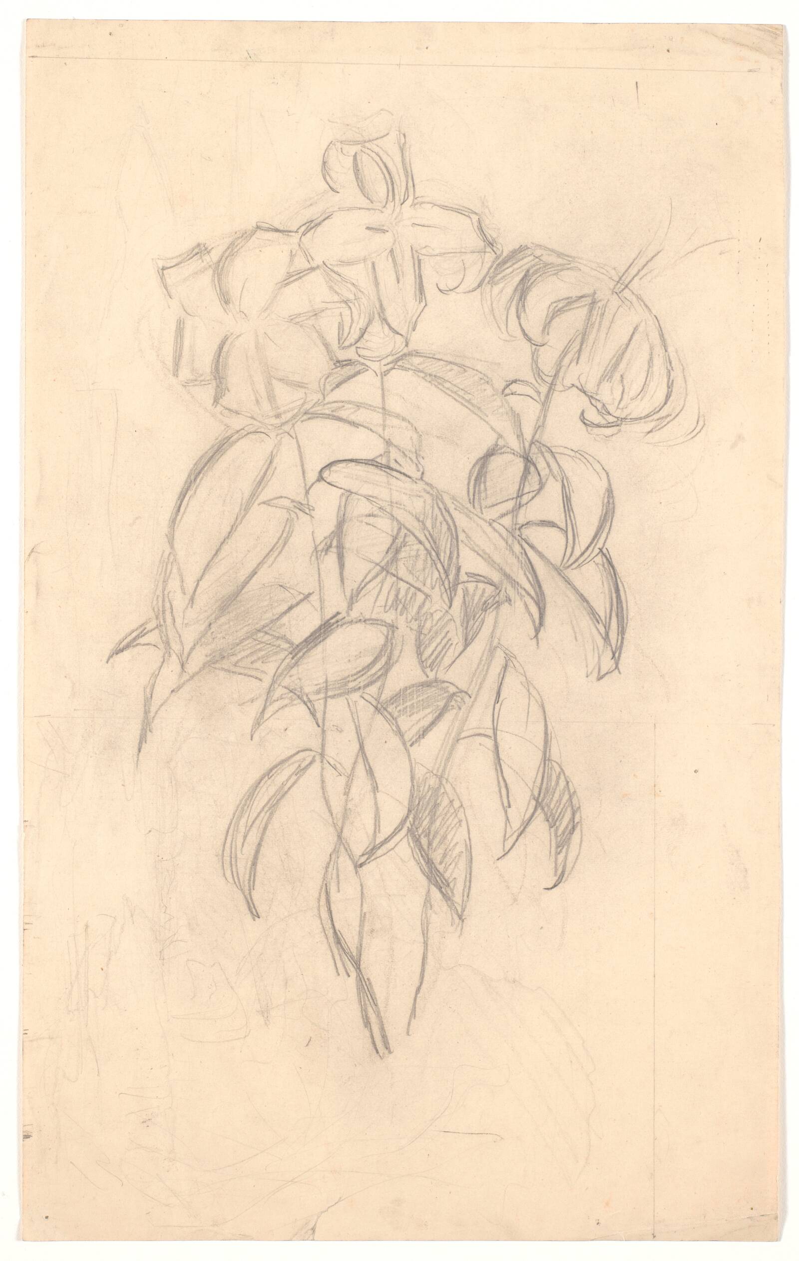 Blomsterstudie, Joakim Skovgaard, 1856-1933