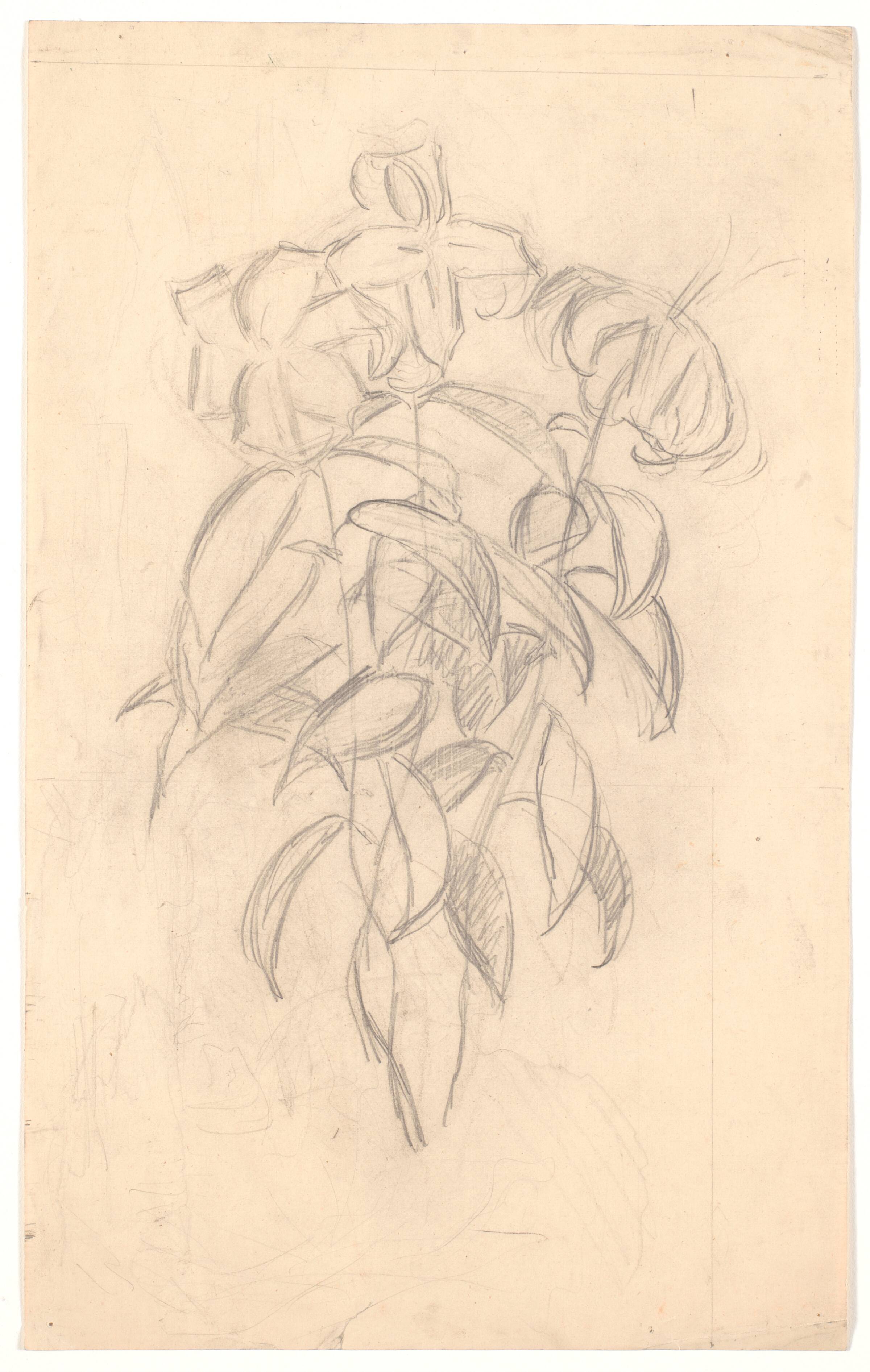 Blomsterstudie, Joakim Skovgaard, 1856-1933